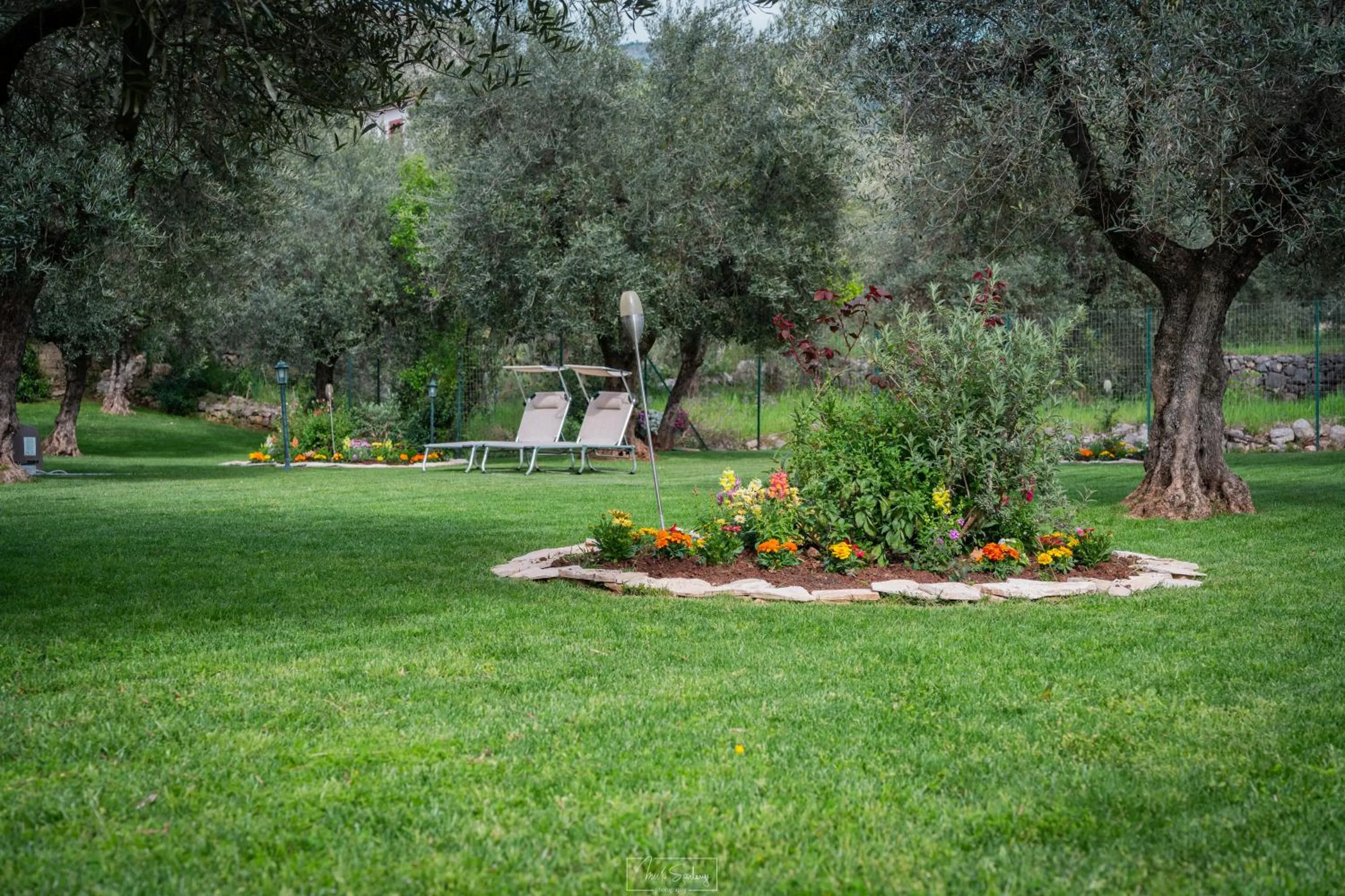 Garden in Agriturismo Country Casale Rufo