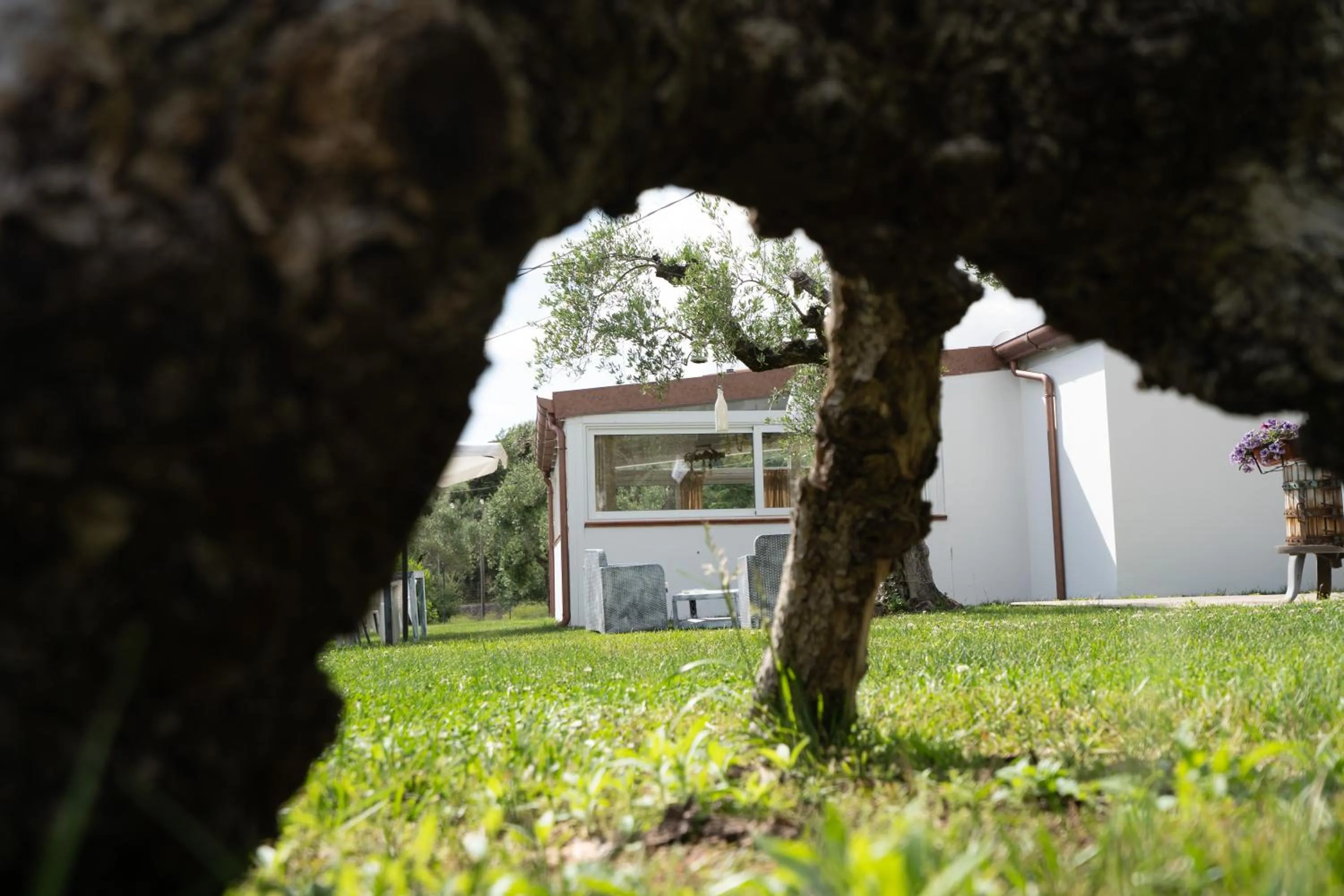 Natural landscape in Agriturismo Country Casale Rufo