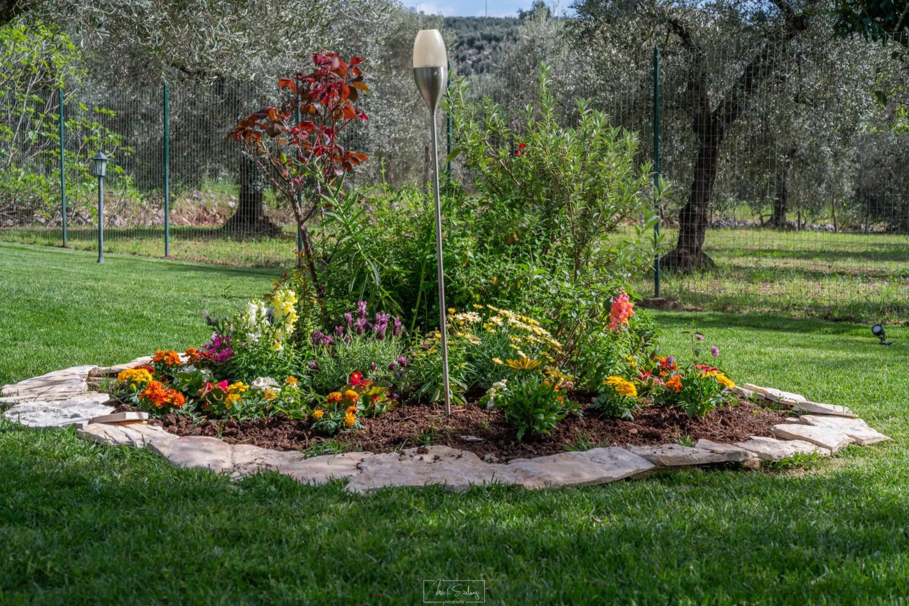 Garden in Agriturismo Country Casale Rufo