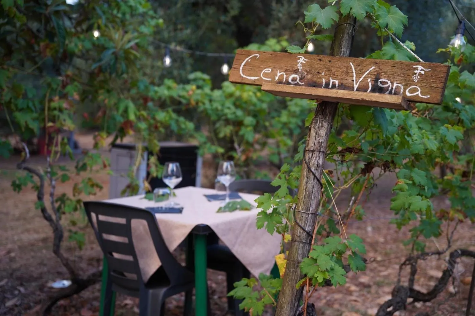 Spring in Agriturismo Country Casale Rufo