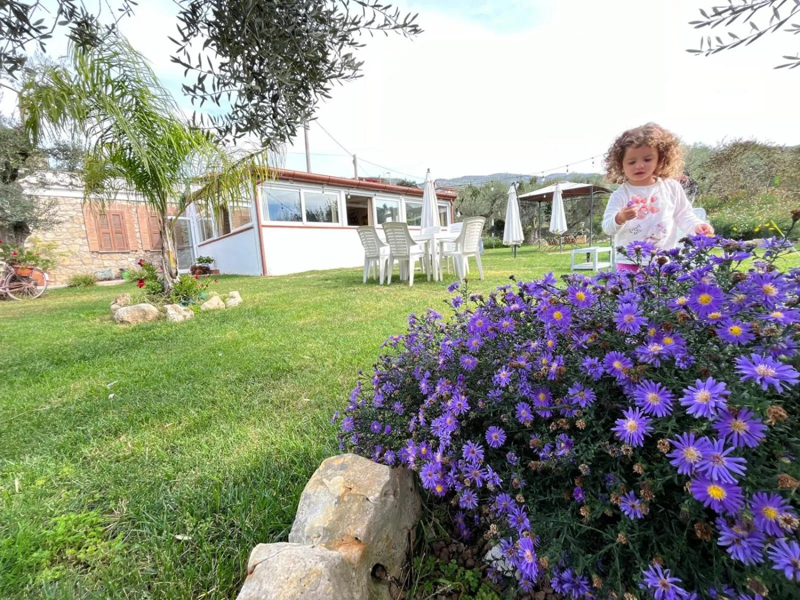Garden in Agriturismo Country Casale Rufo