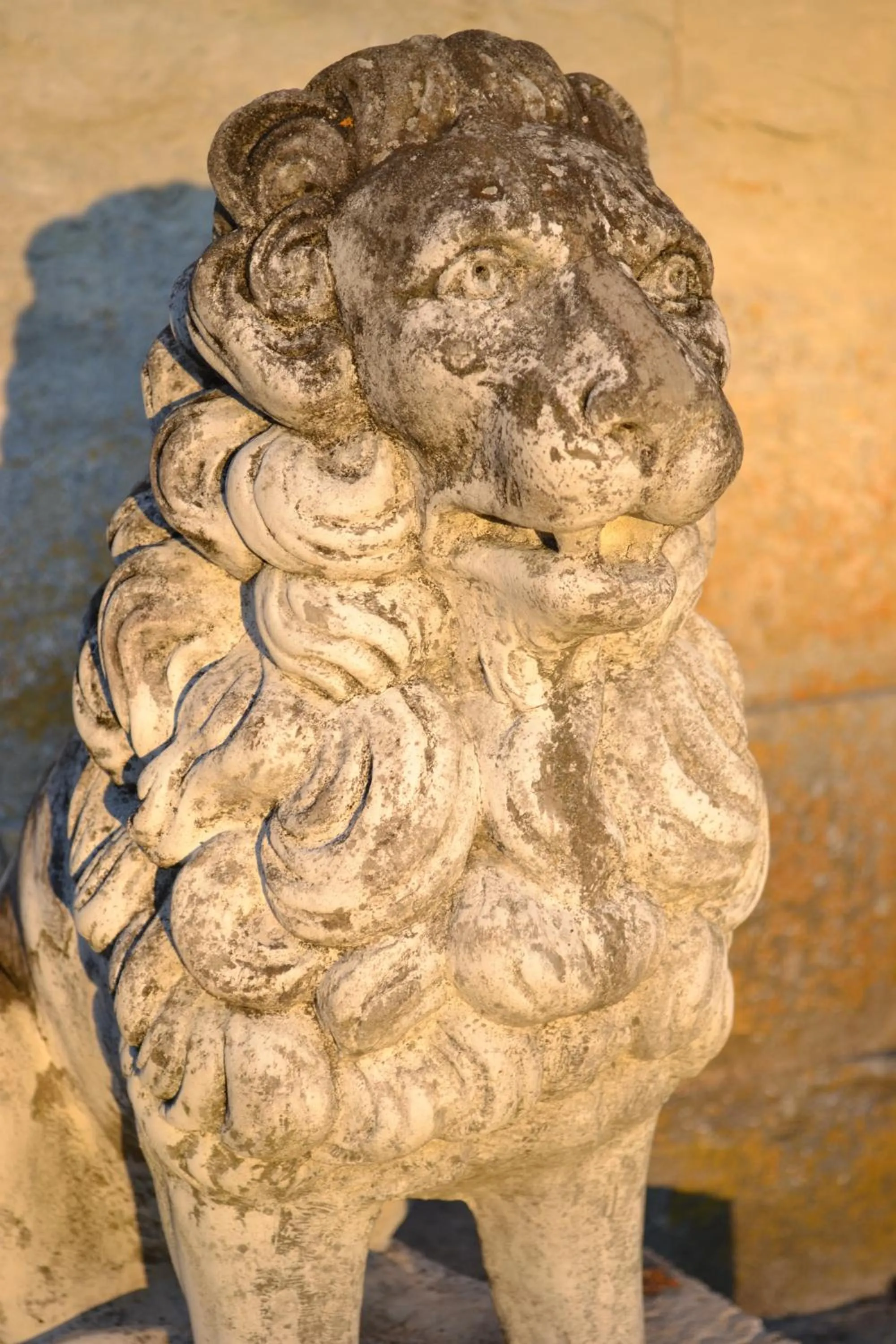 Decorative detail in Château de Lalande - Teritoria - Périgueux