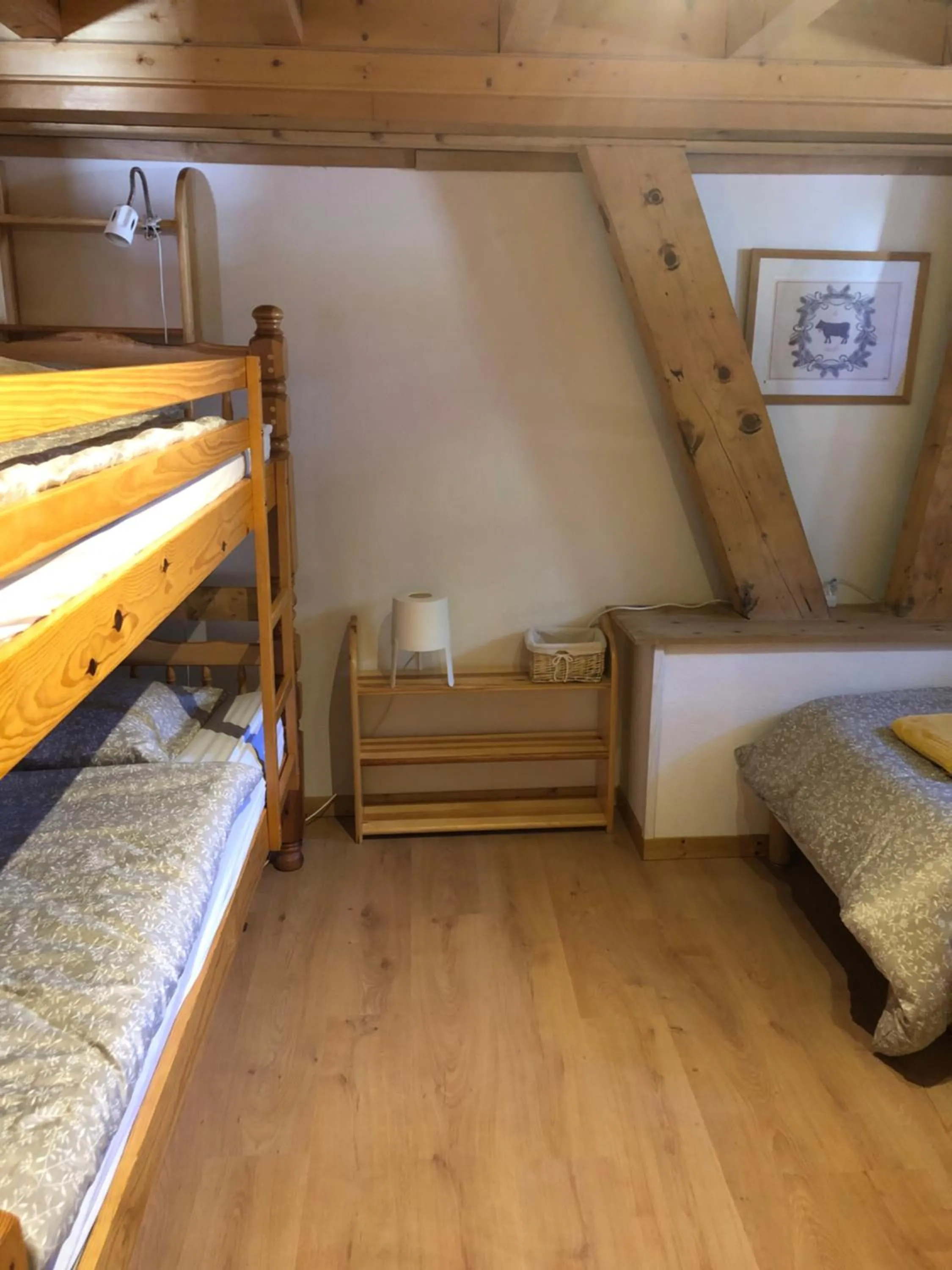 bunk bed, Bed in Central Hostel Chatel