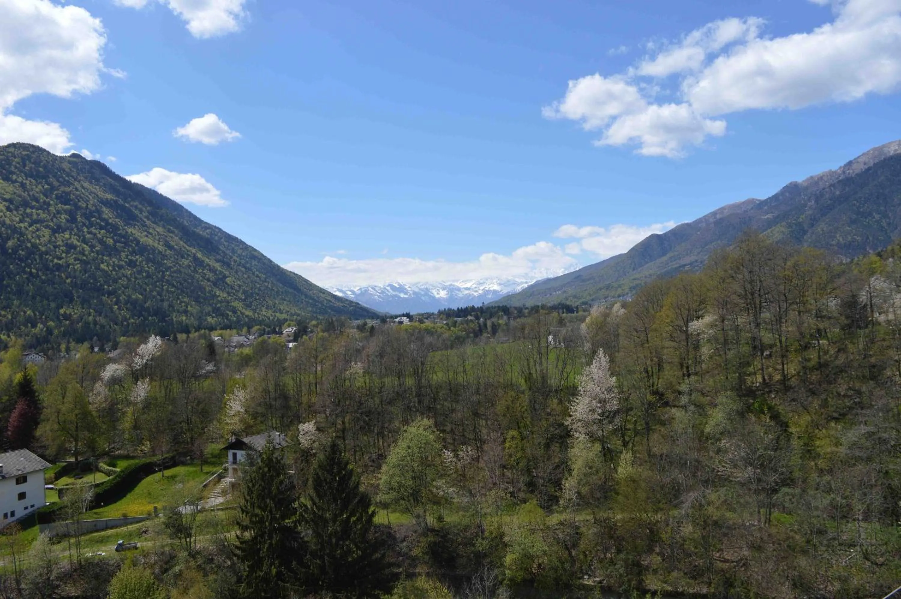 Other in Residence Arvinei