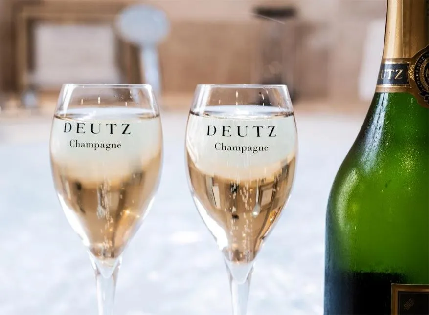 Le Belvédère Hotel et Bien être