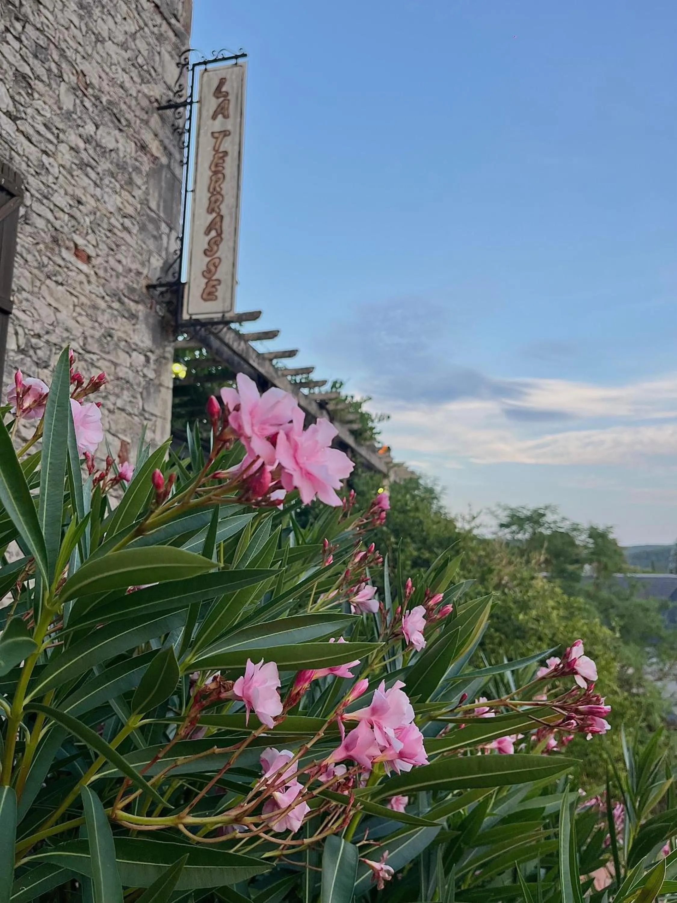 Property building in Château Hôtel La Terrasse - Teritoria