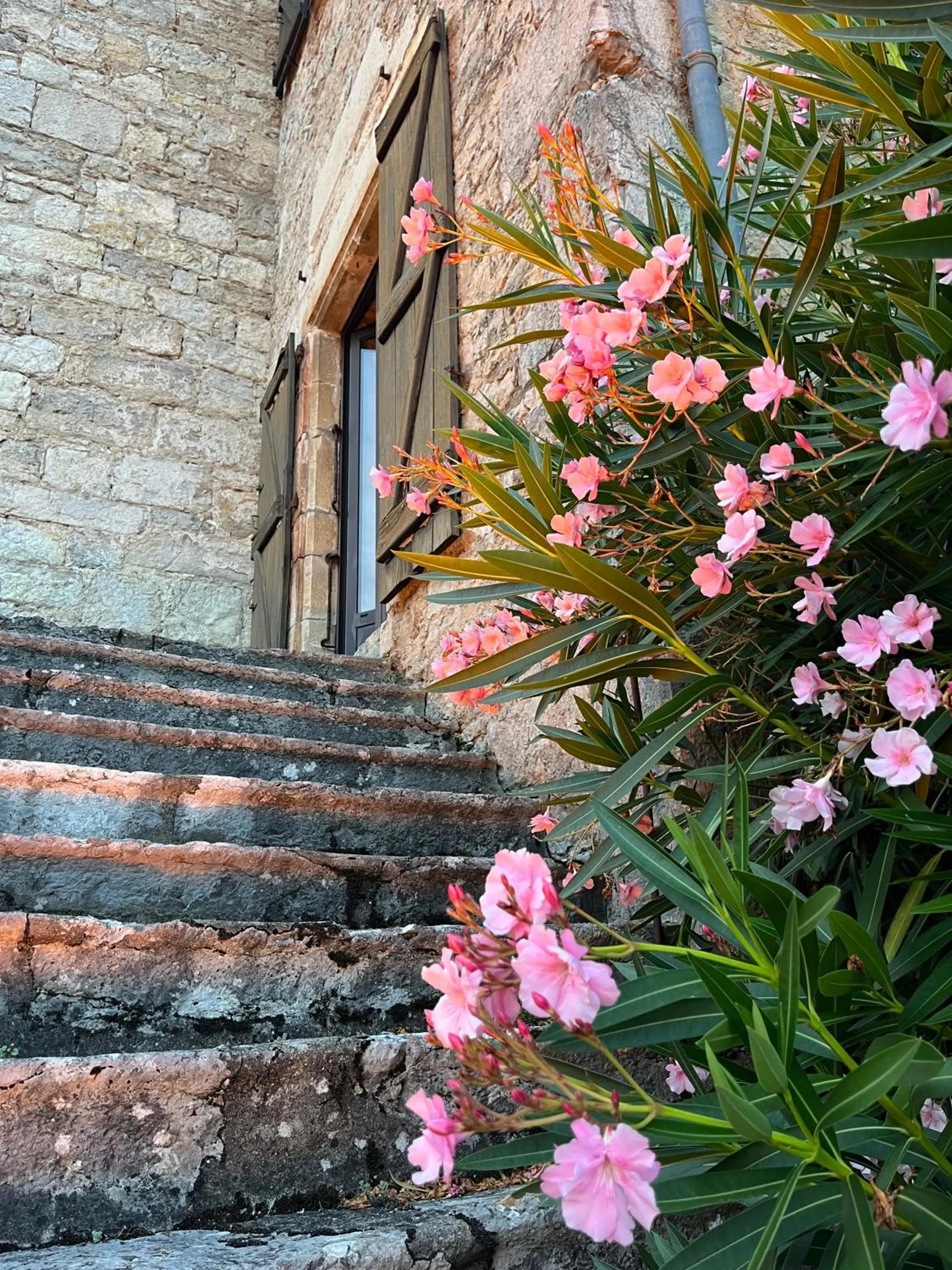 Patio in Château Hôtel La Terrasse - Teritoria