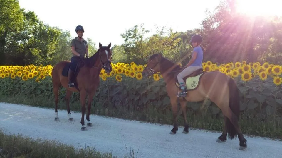 Horse-riding in B&B Centro Ippico Andrea