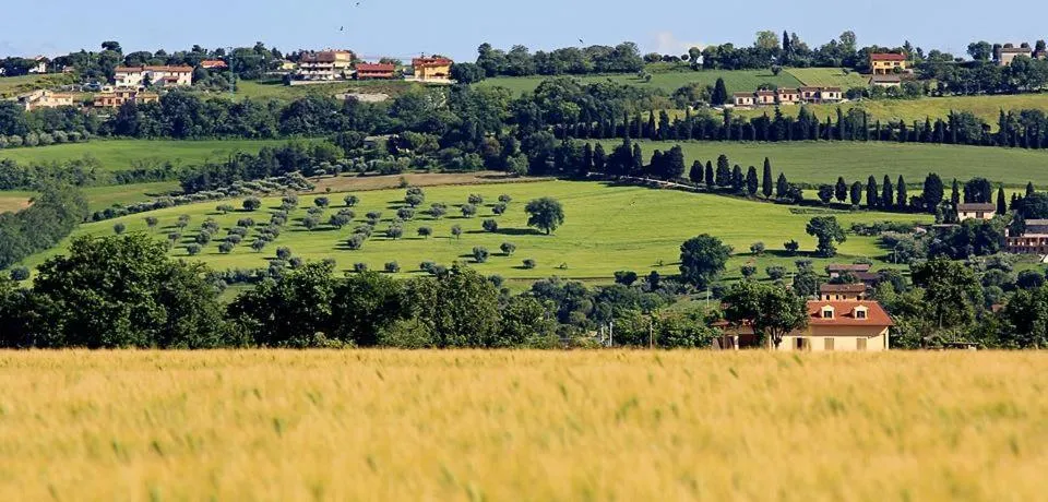 View (from property/room) in B&B Centro Ippico Andrea
