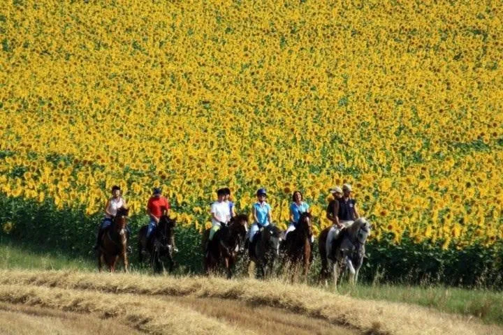 Horse-riding in B&B Centro Ippico Andrea