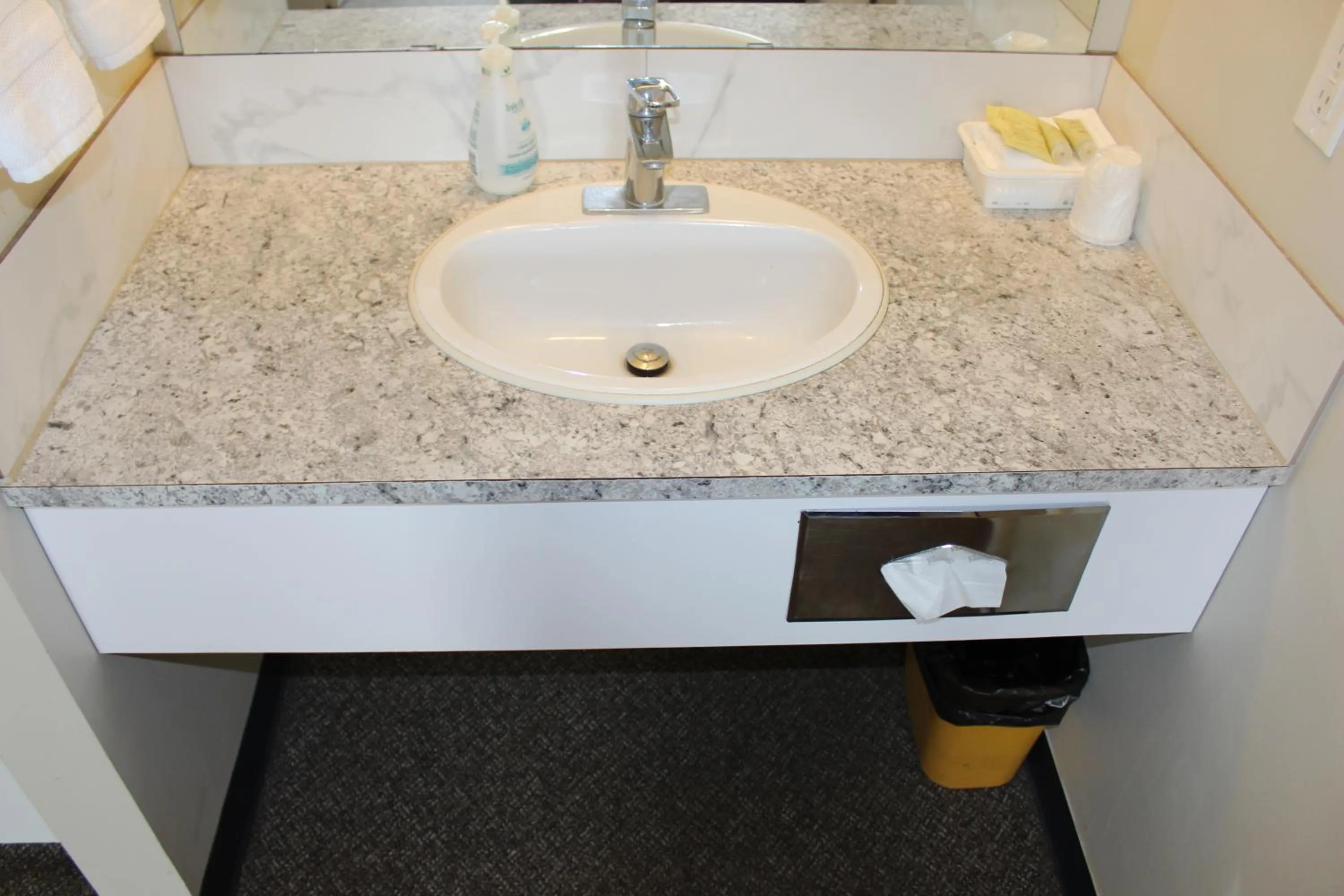 Bathroom in Plains Motor Inn