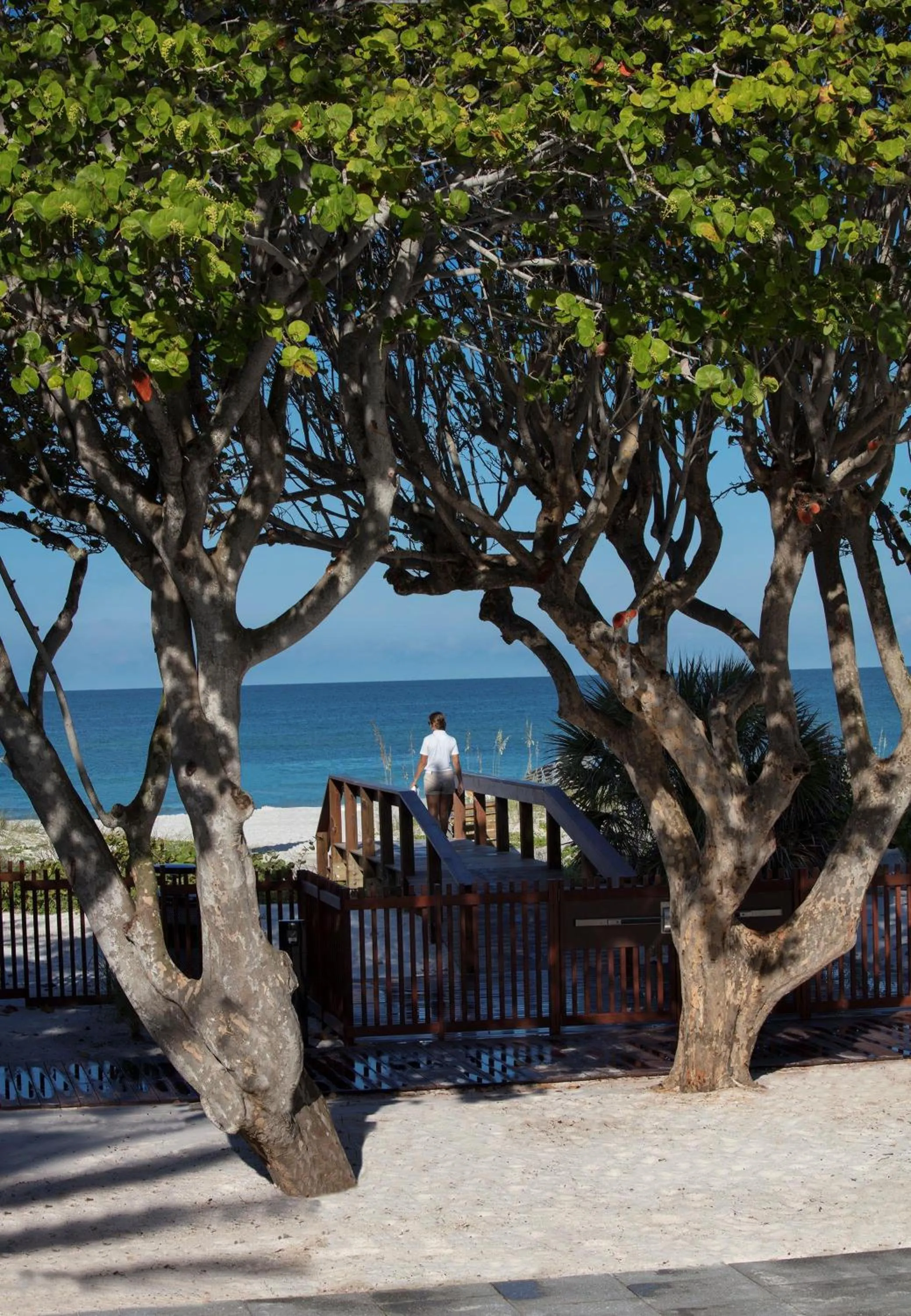 People in Zota Beach Resort