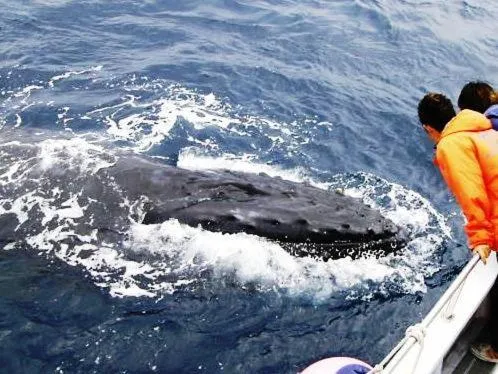 Living Inn Asahibashiekimae Premier