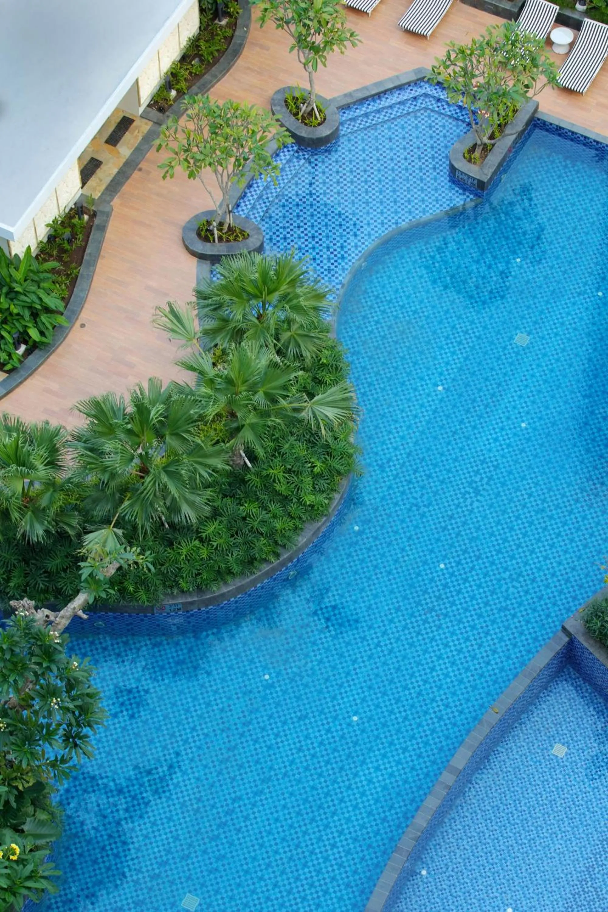 Swimming pool in Four Points by Sheraton Surabaya, Tunjungan Plaza