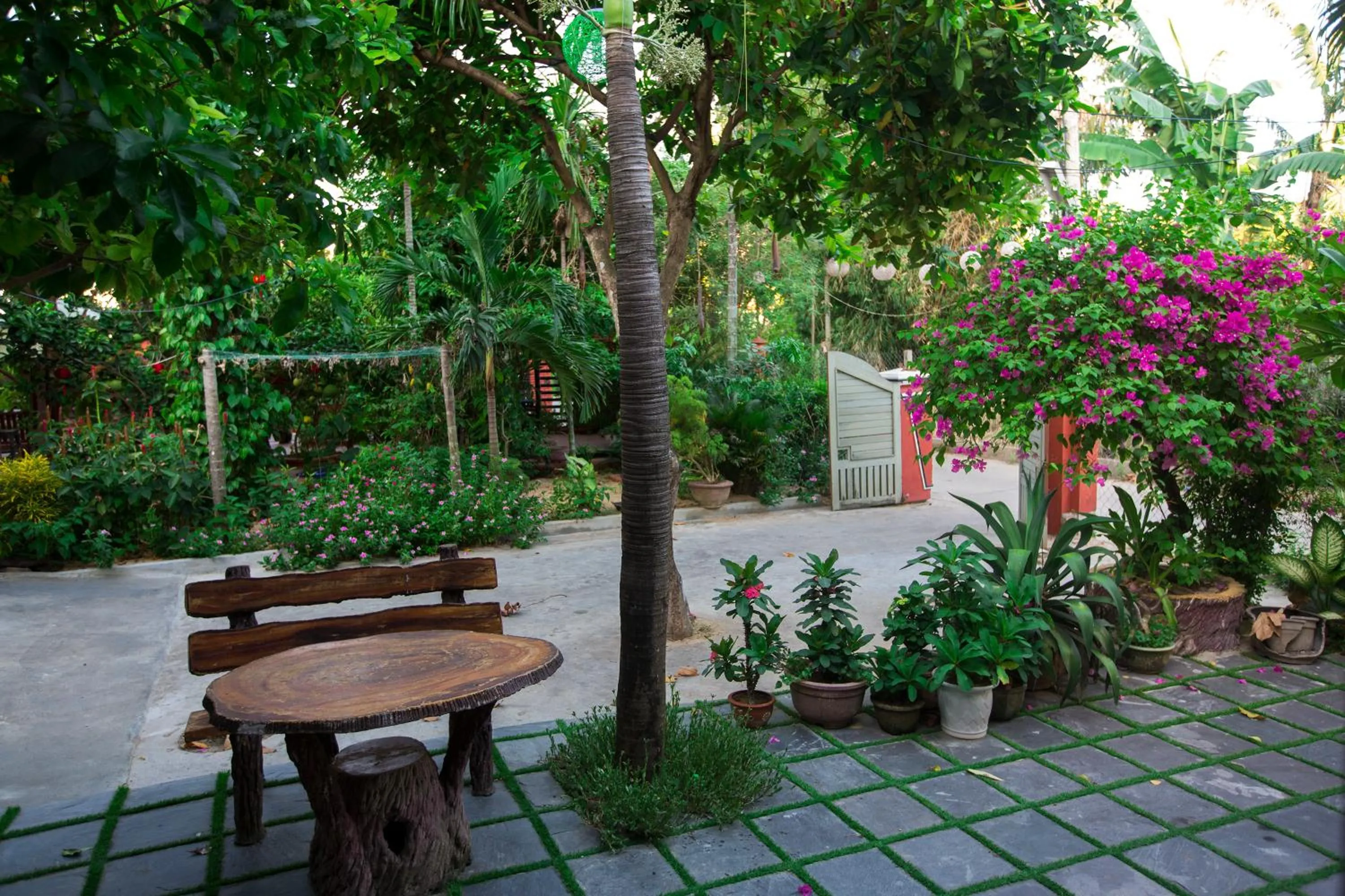 Property building in Thinh Phuc Homestay