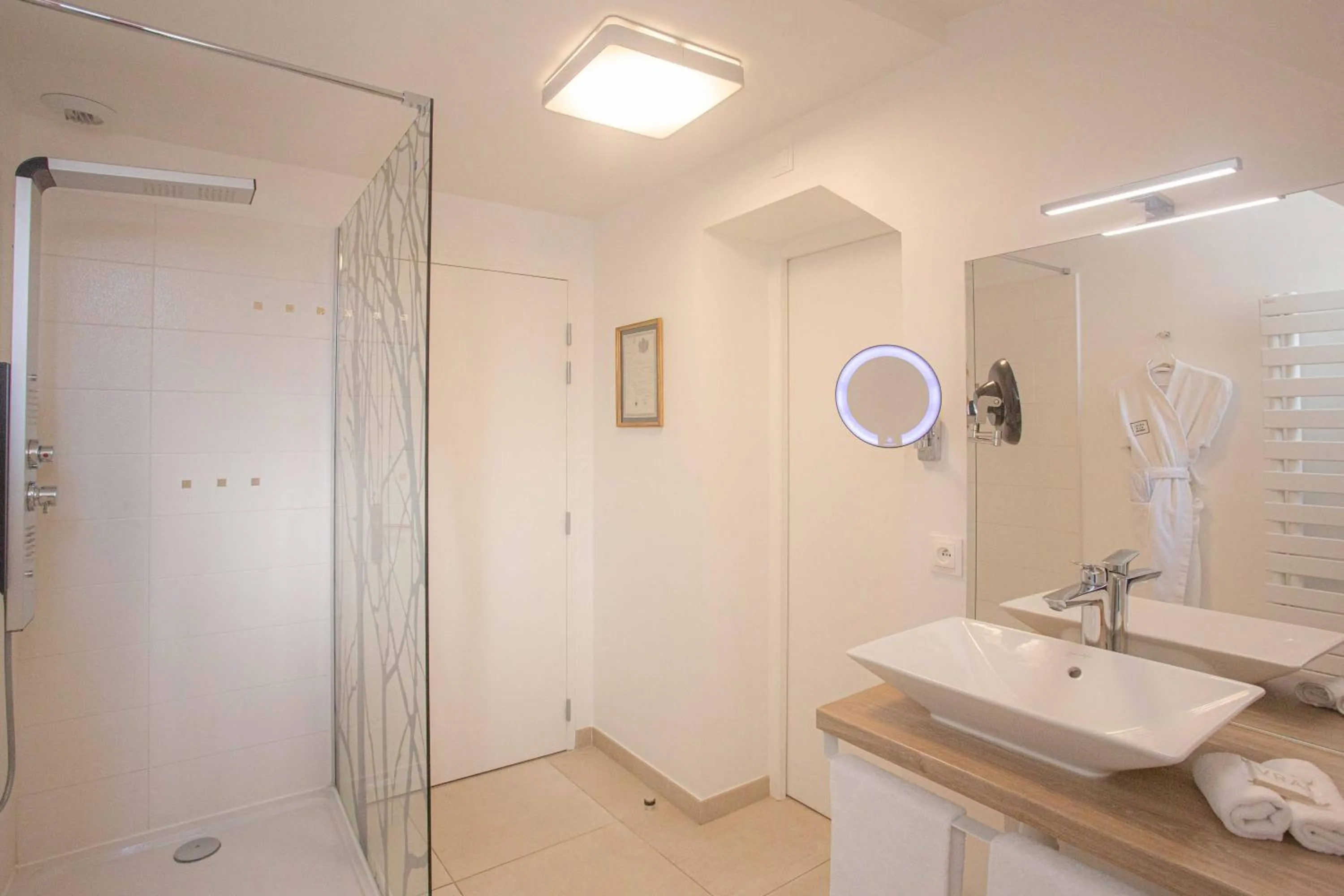 Shower in Hôtel Spa - Au Charme Rabelaisien