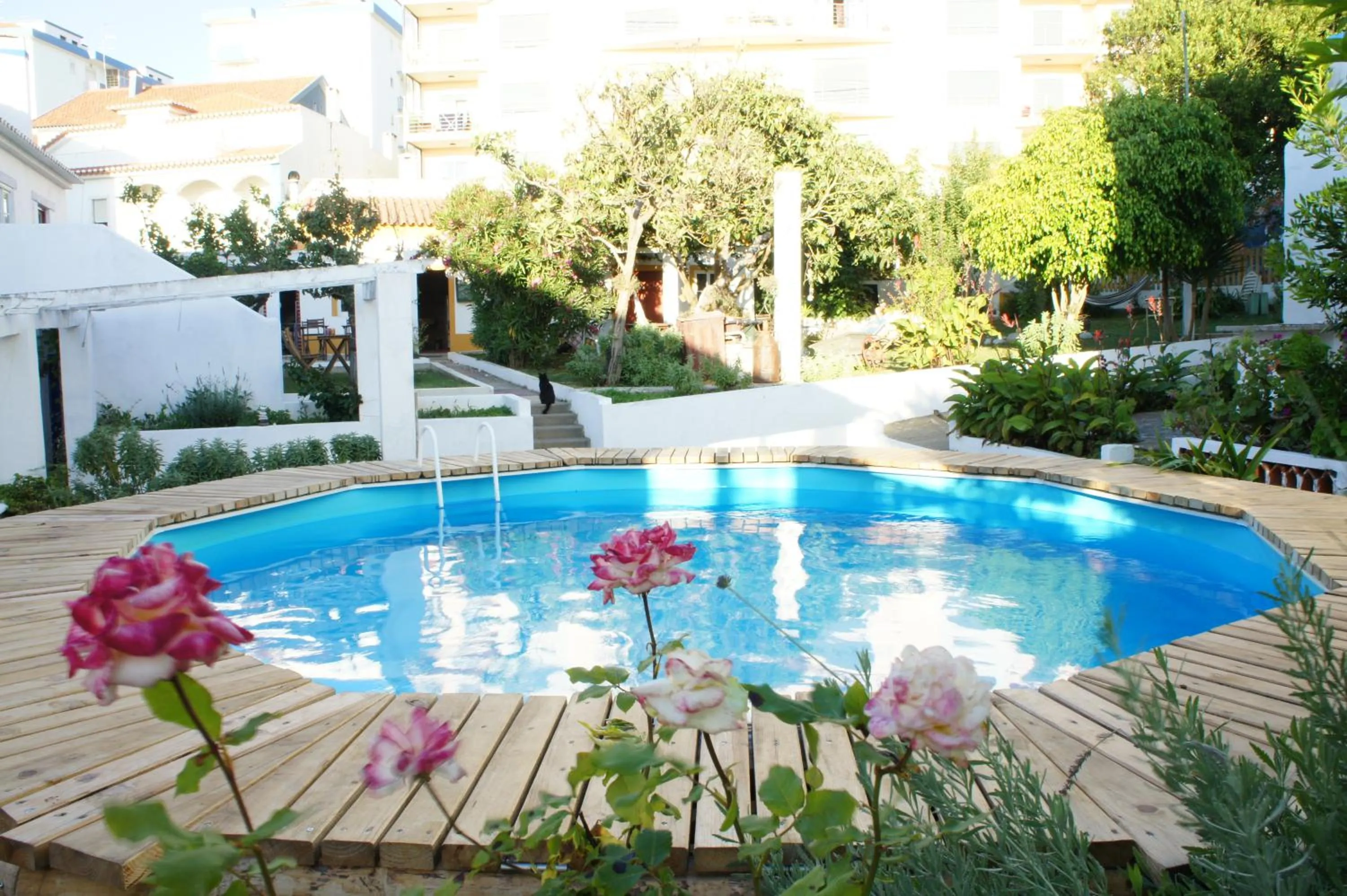 Garden in Olive3 Ericeira