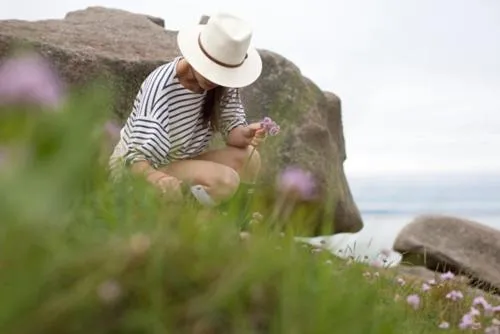 Area and facilities in Manoir de Lan Kérellec
