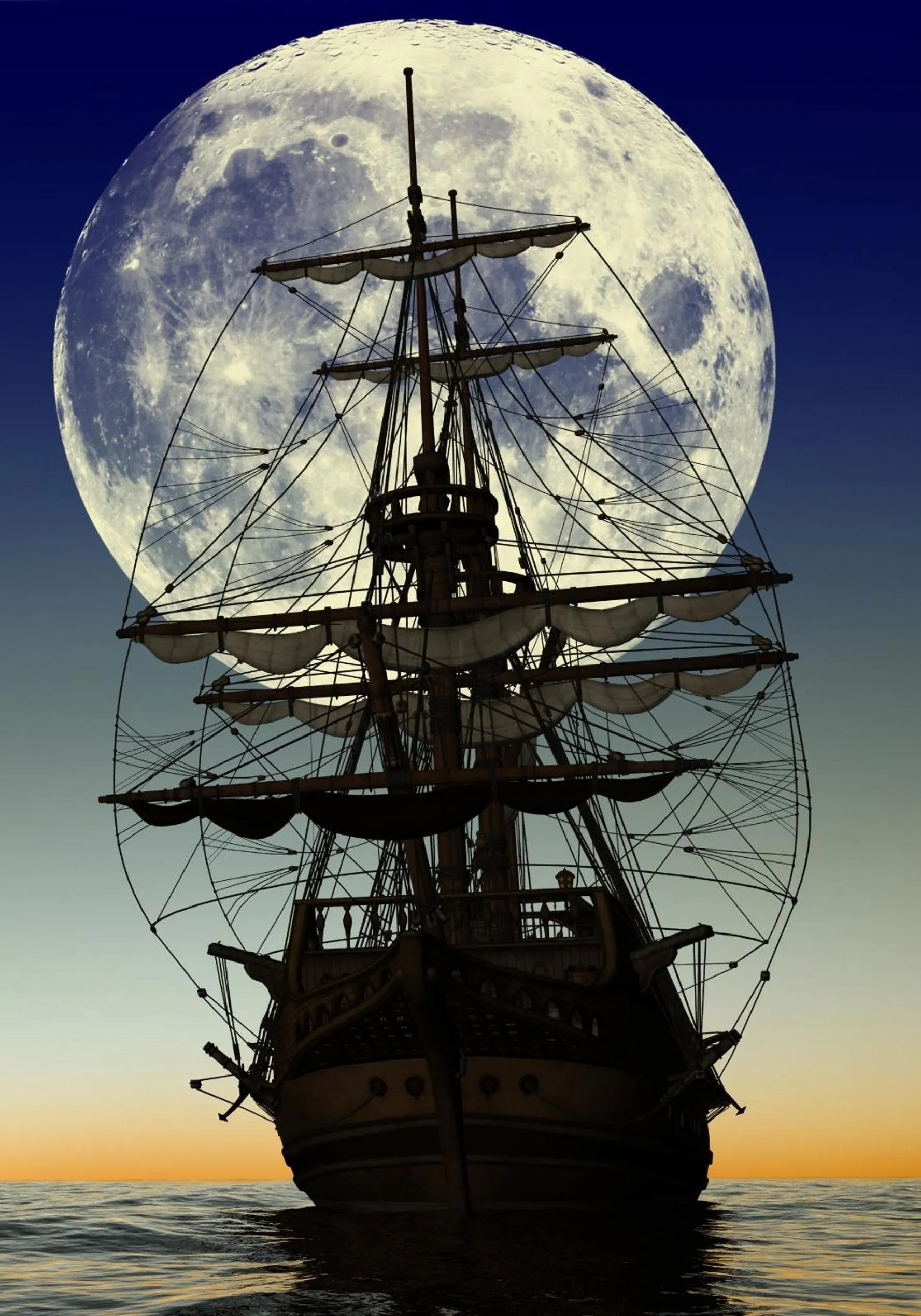 Other in Dolphin House