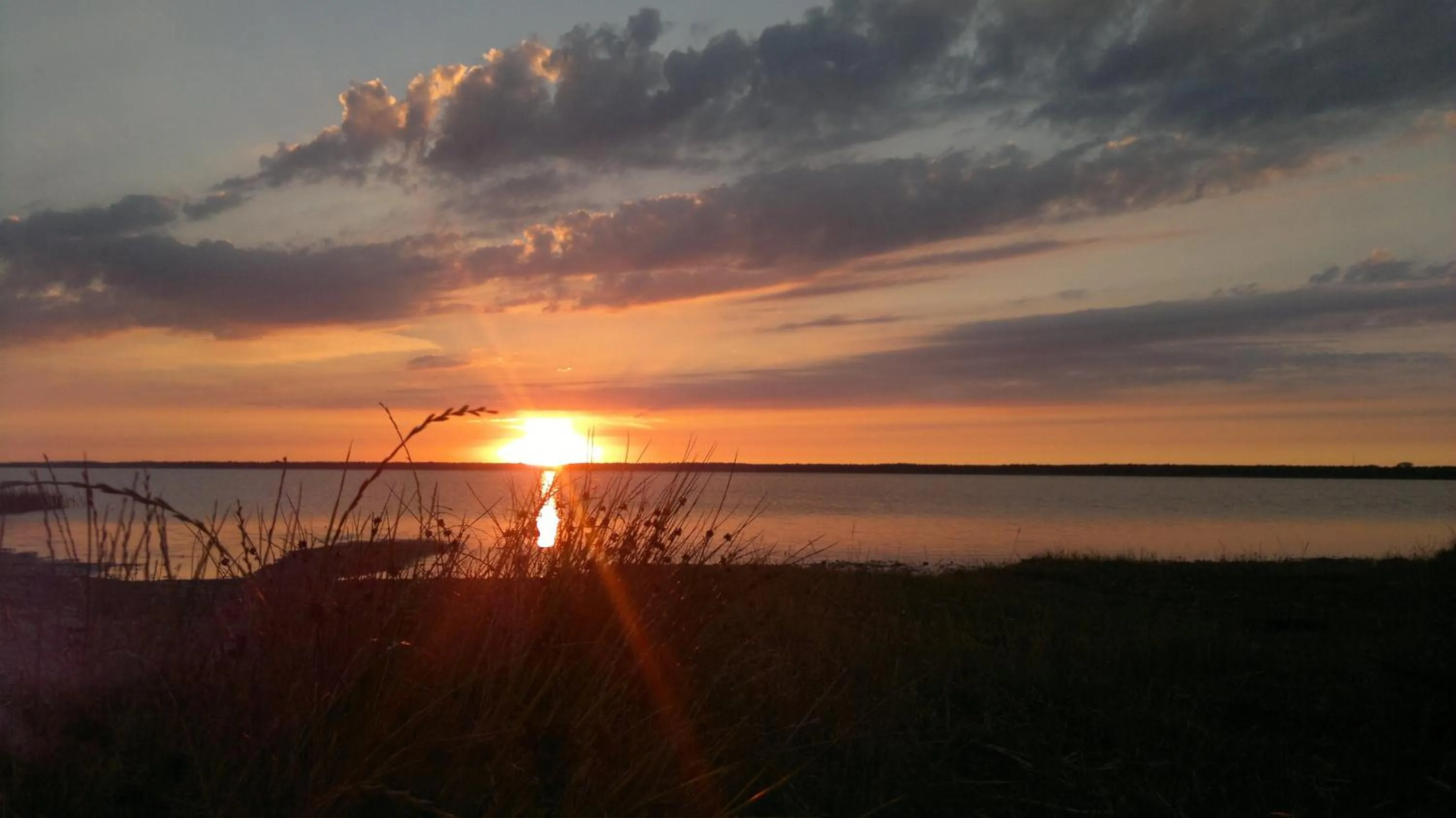 Fishing in Dolphin House