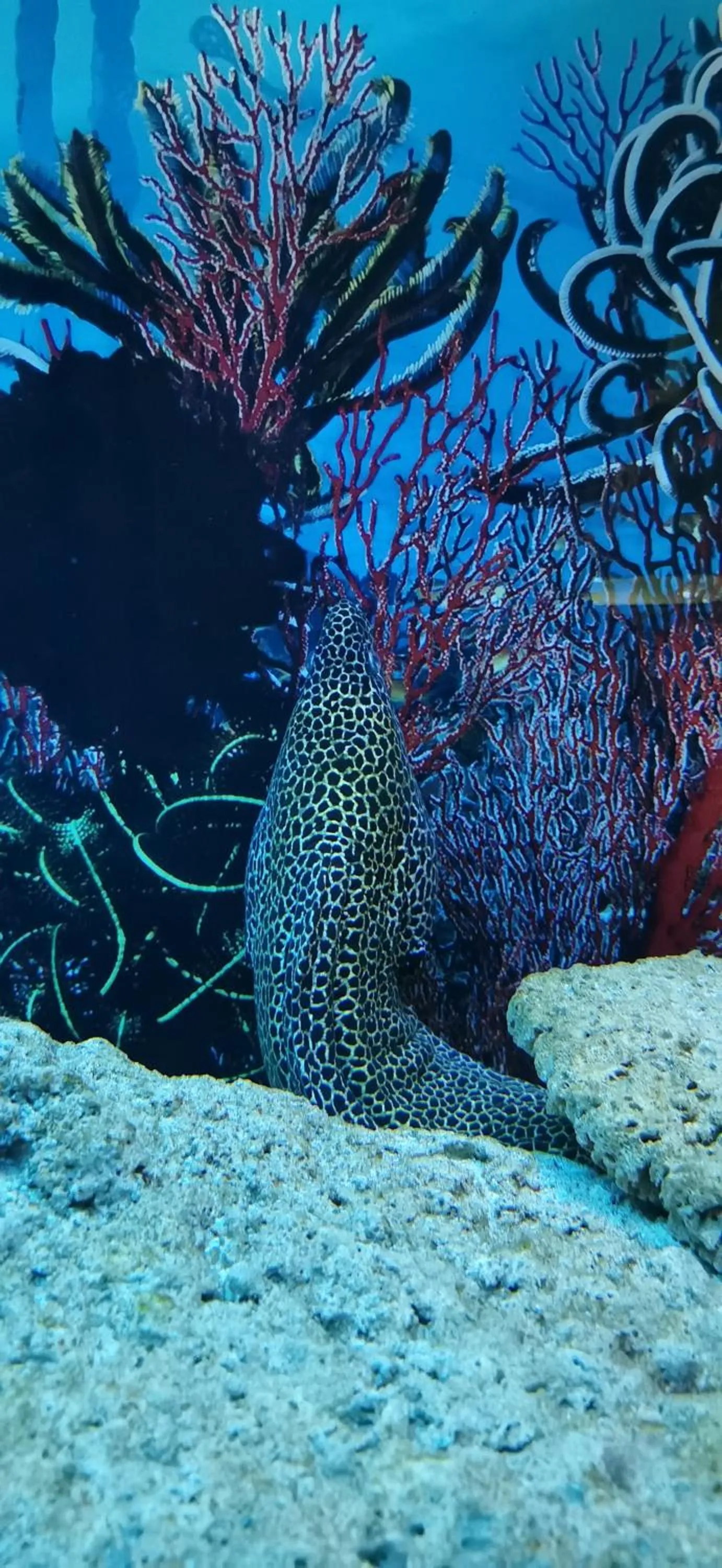 Property building in Dolphin House