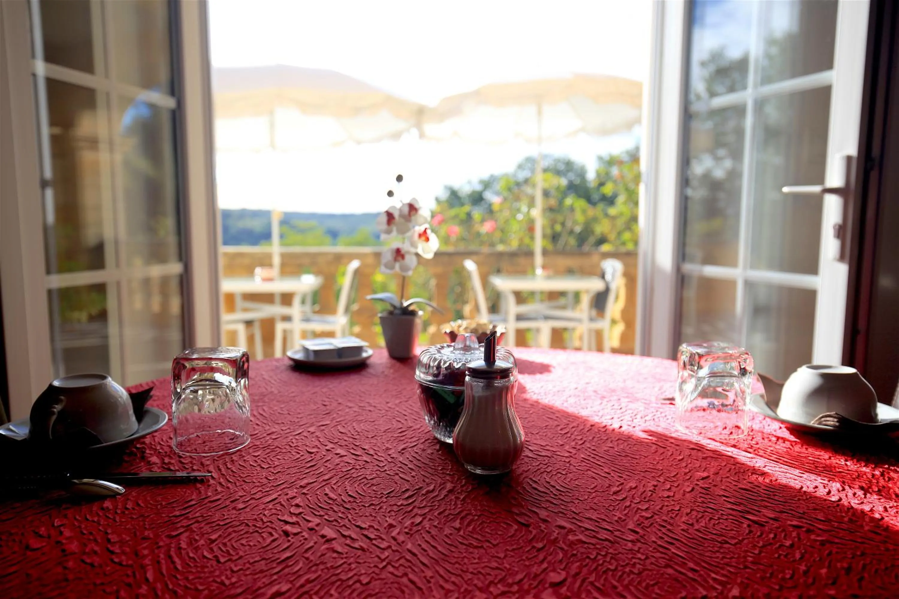 Area and facilities in Hotel de la Pagézie