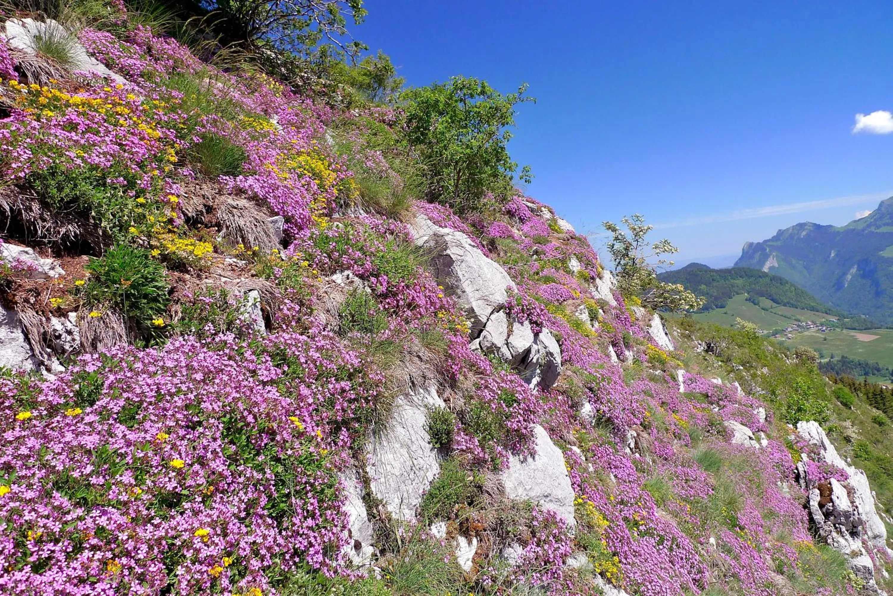 Summer in Hôtel Le Christania