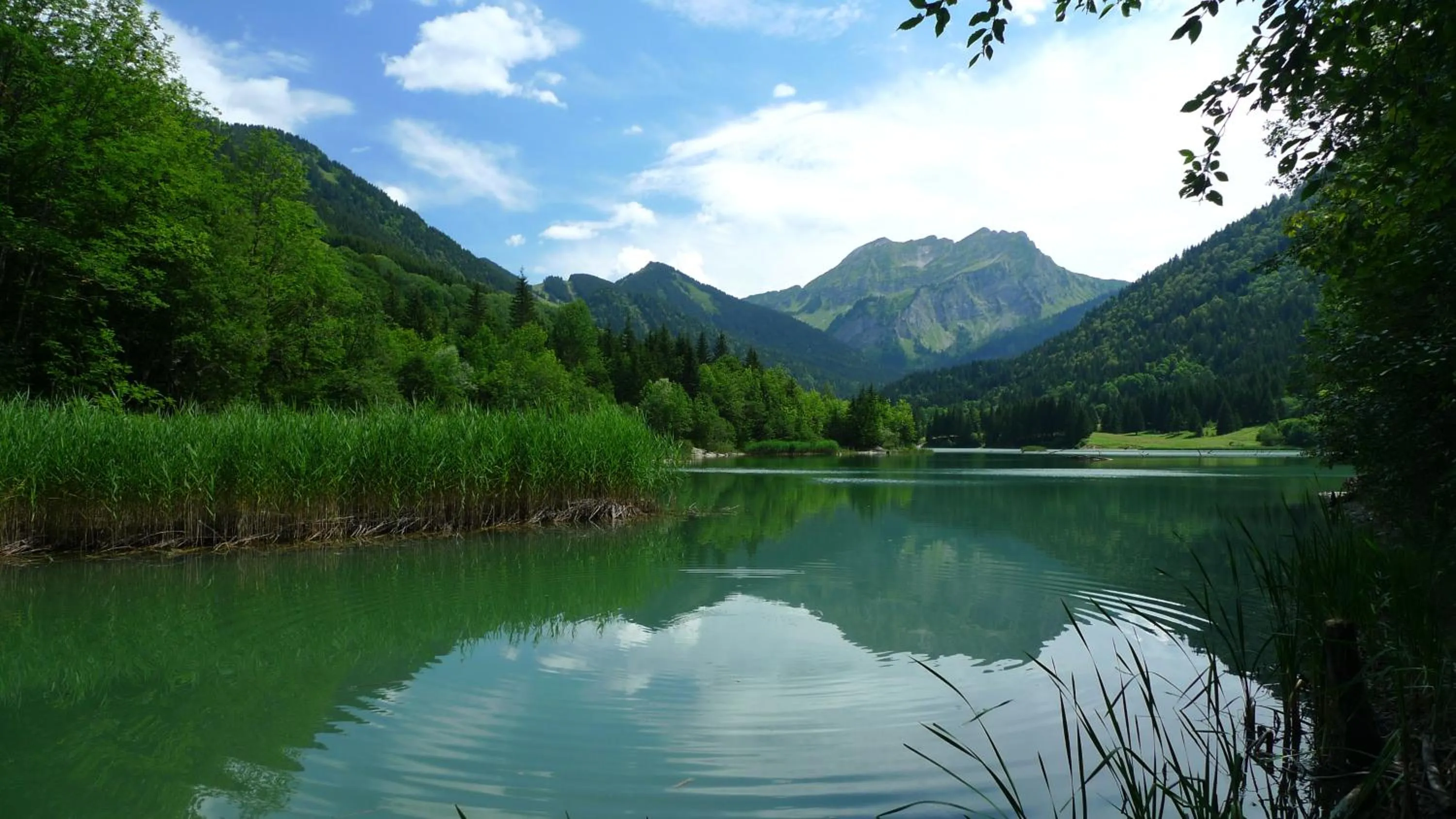Natural landscape in Hôtel Le Christania