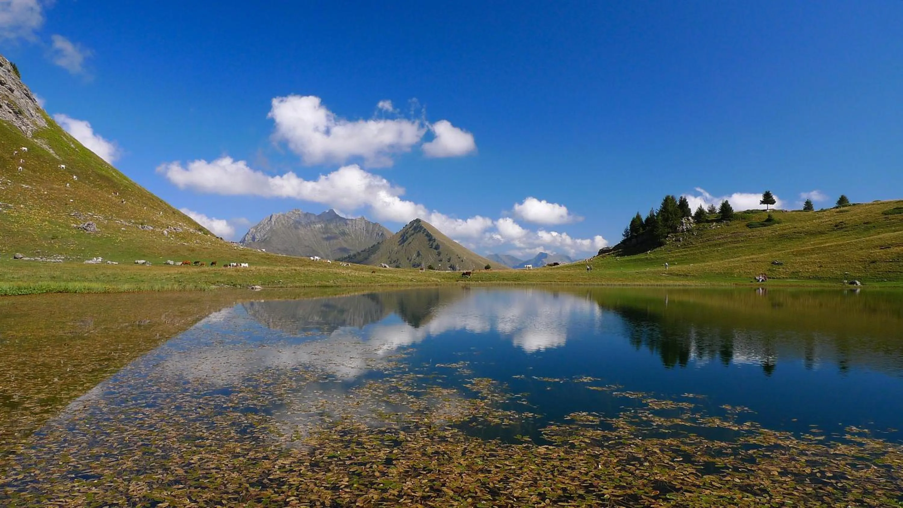 Off site in Hôtel Le Christania