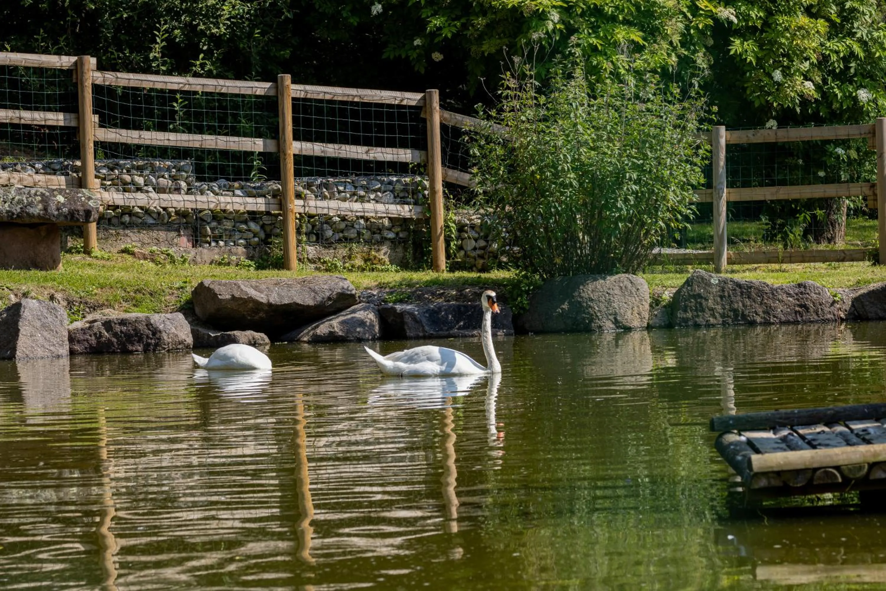 Animals in Hôtel Restaurant Le Régal