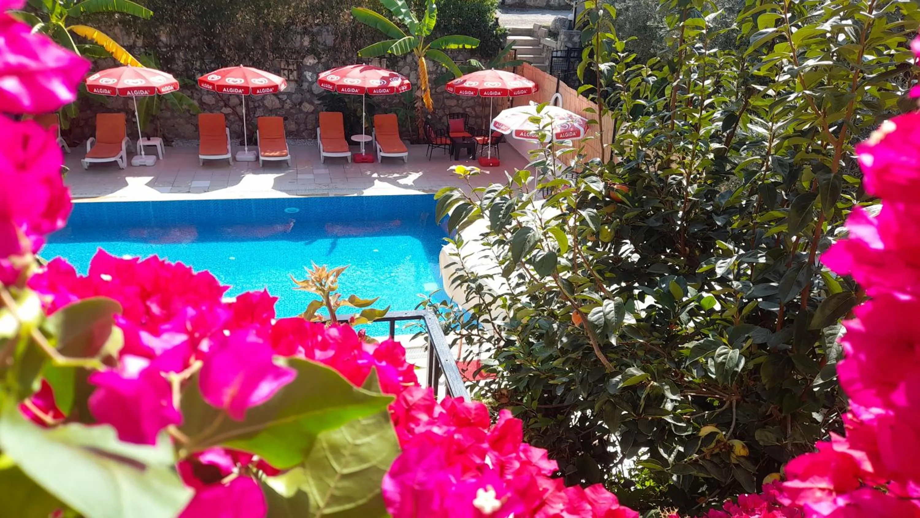 Swimming pool in Sarıhan Apart Otel