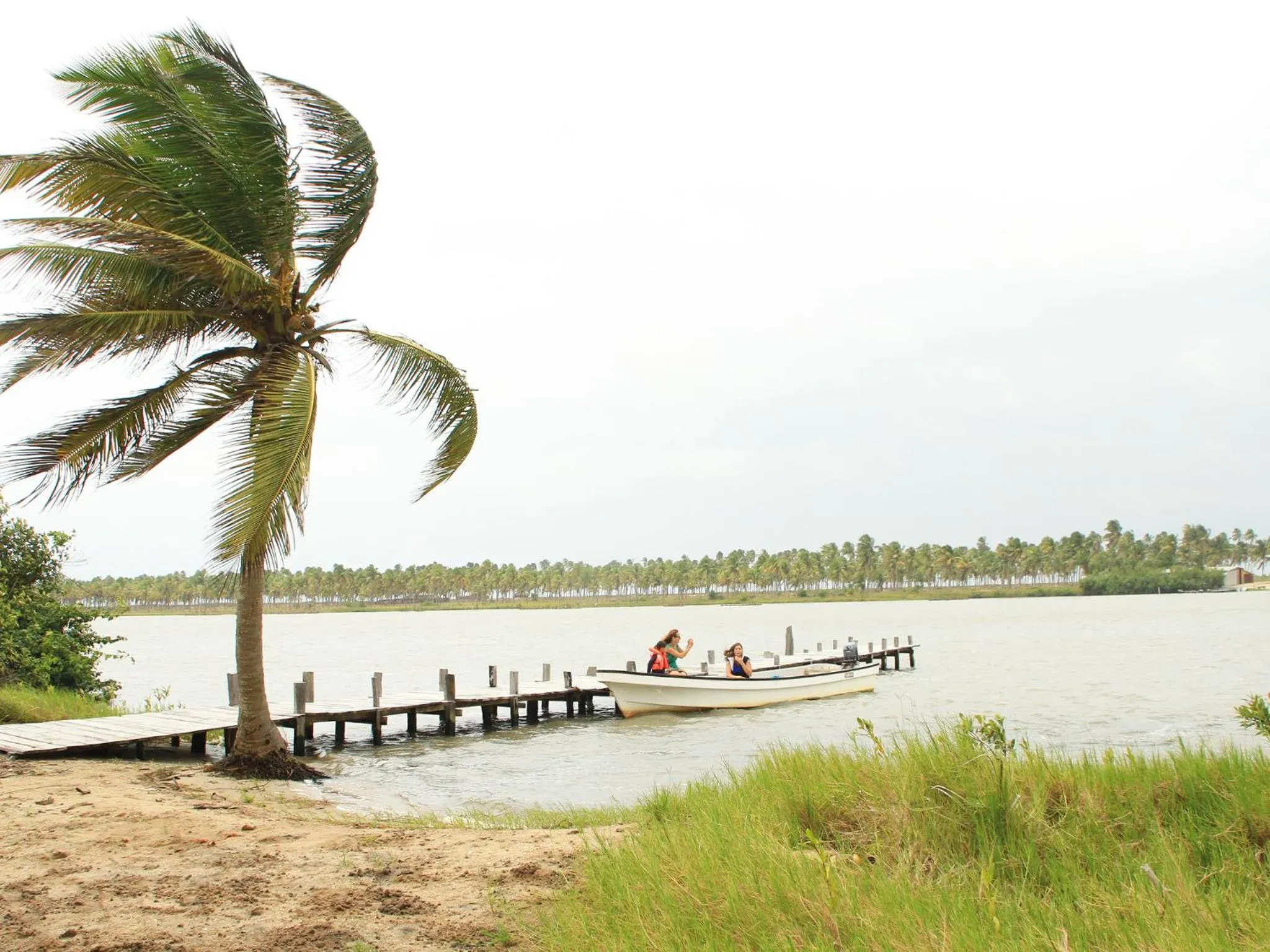 Entertainment in Casa Del Papa Resort & SPA