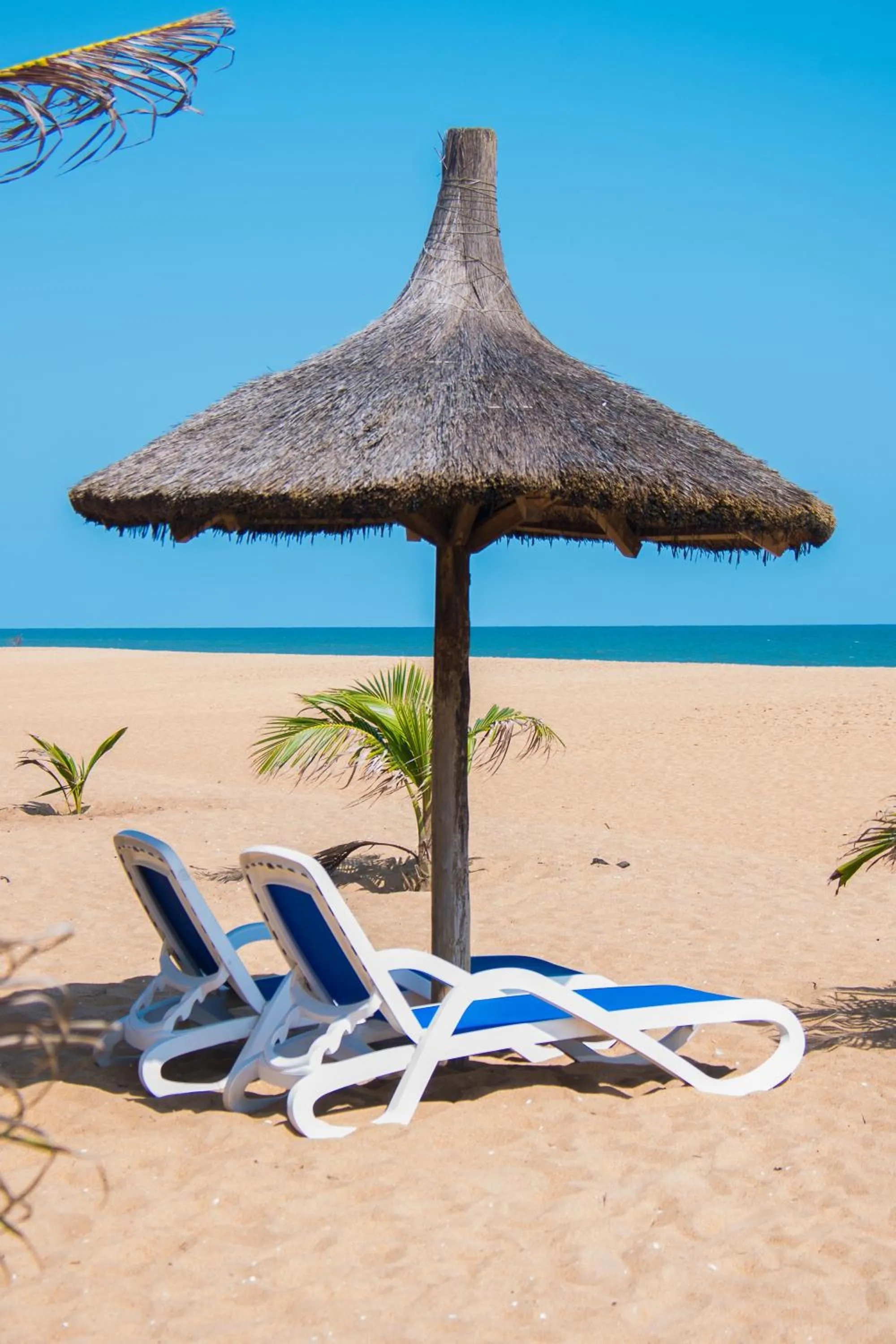 Beach in Casa Del Papa Resort & SPA