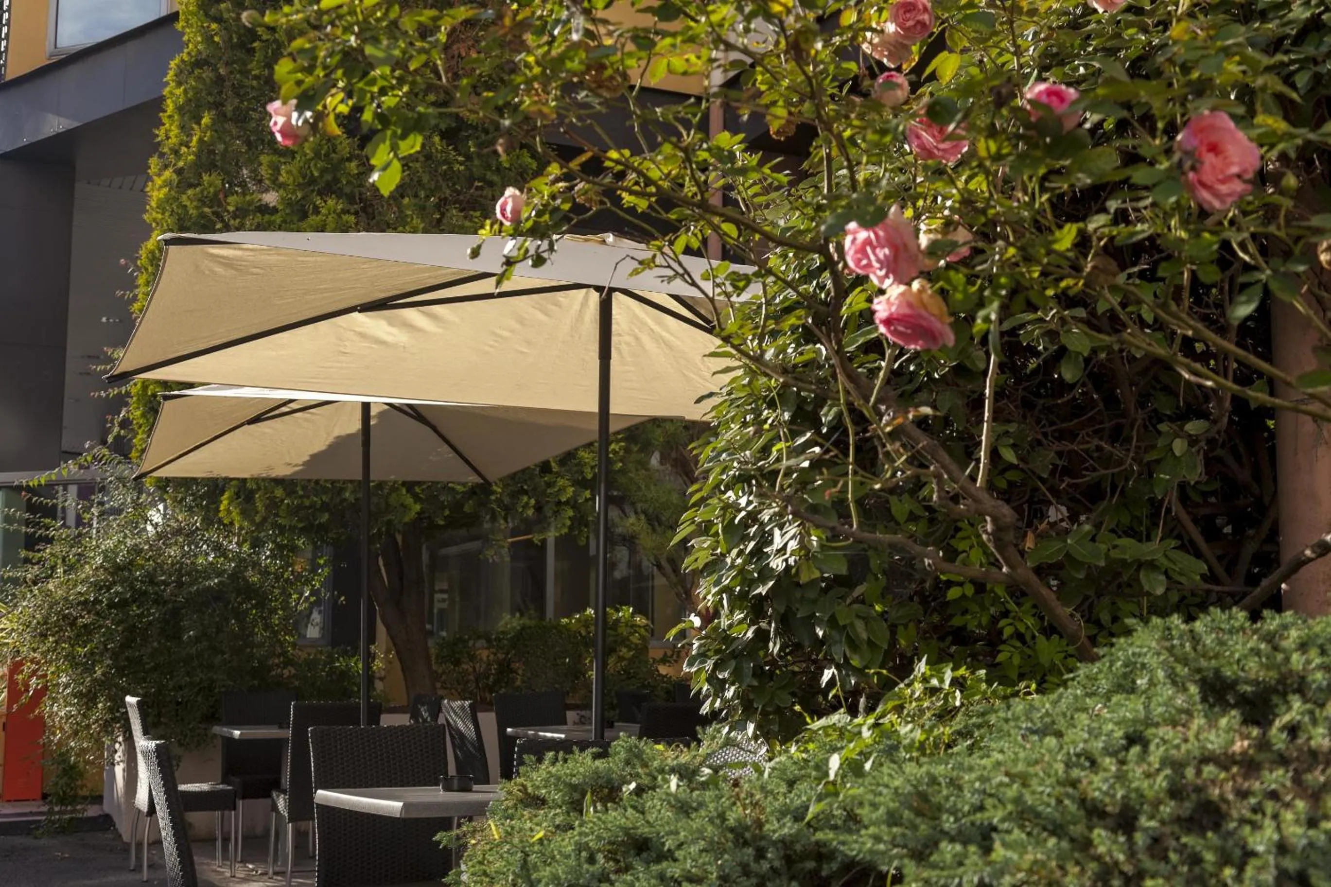 Balcony/Terrace in Hôtel Paradis
