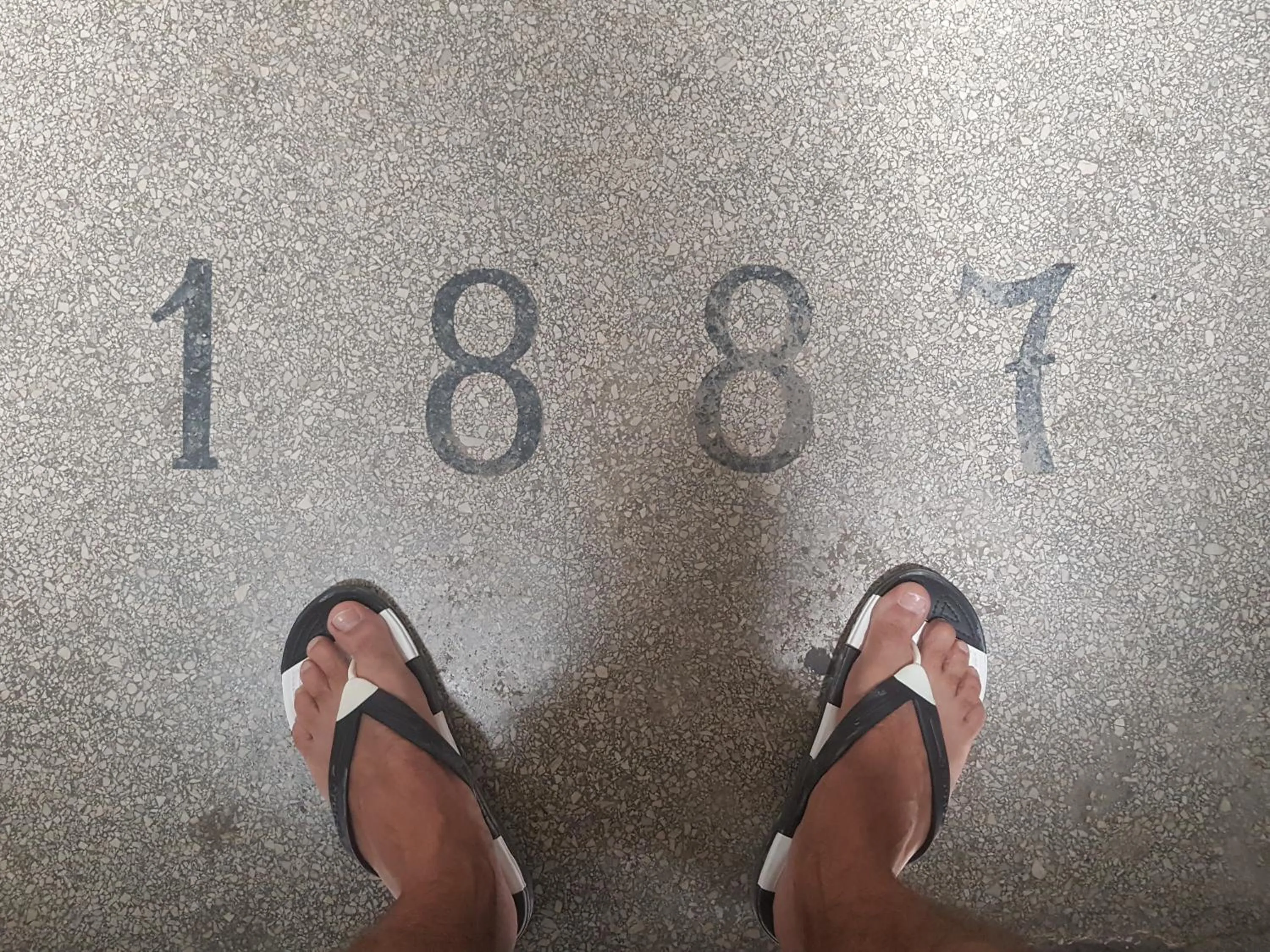 Property building in happy home POP