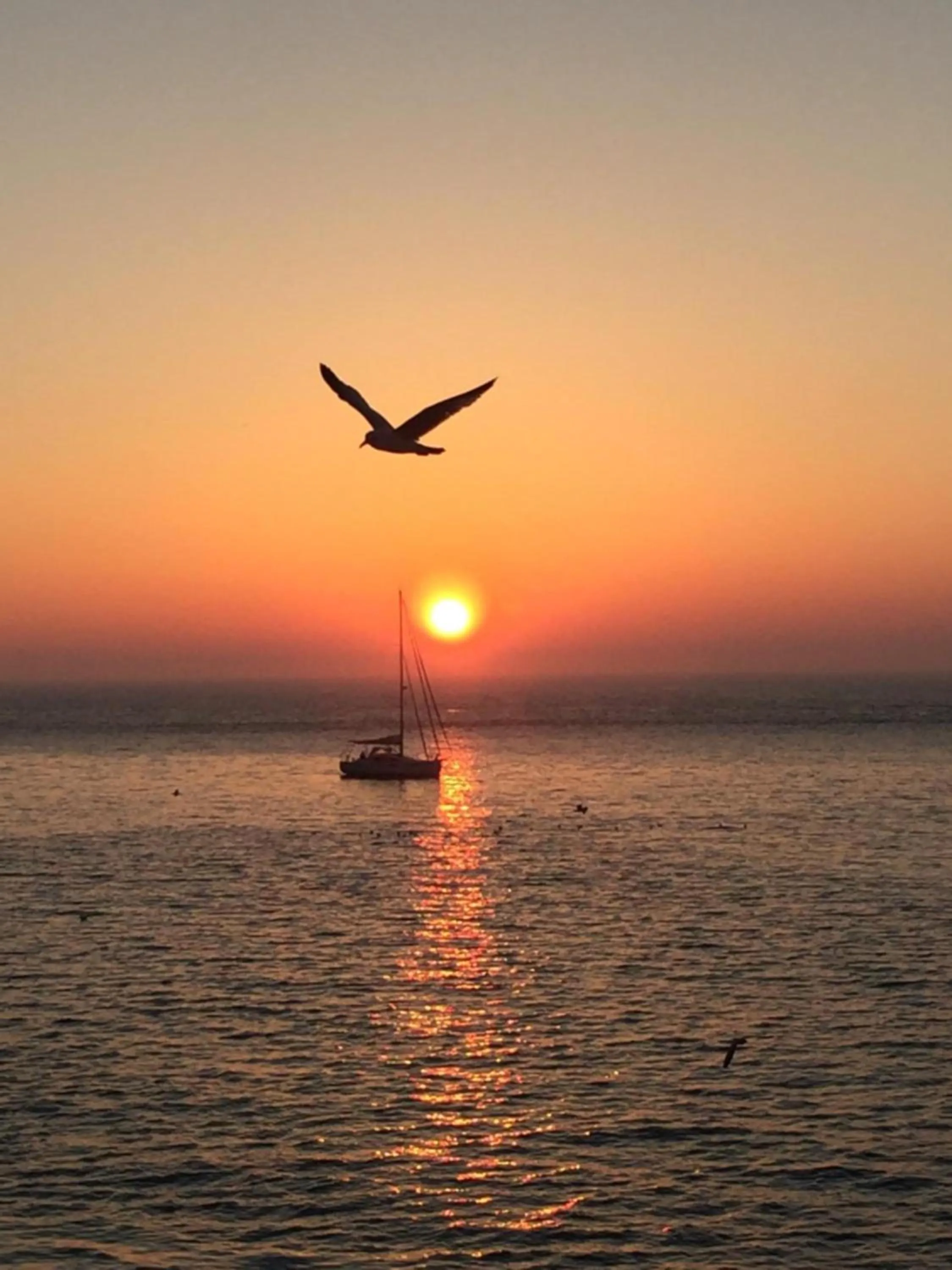 Sunset in Hotel Des Falaises