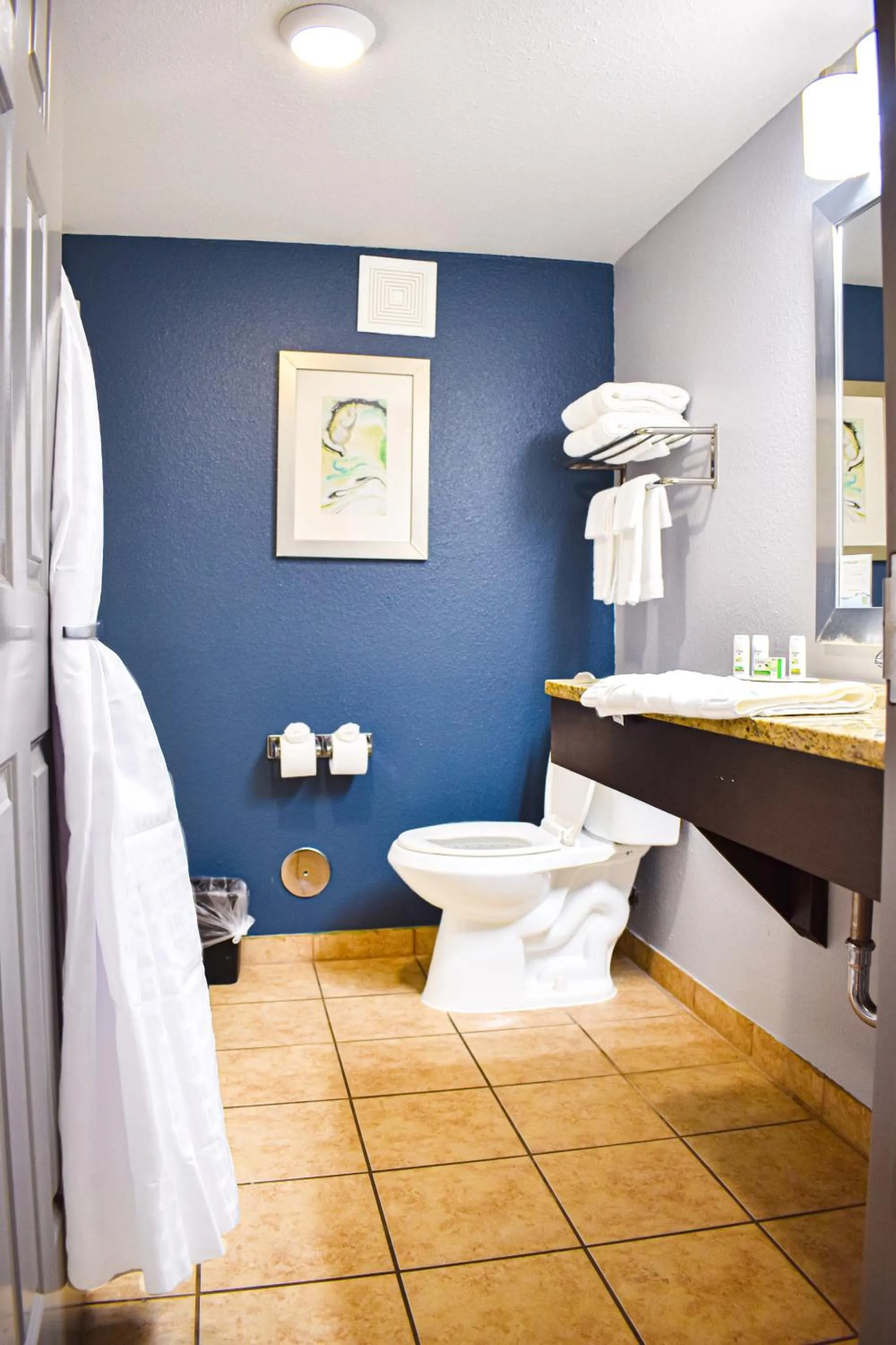 Bathroom in Baymont by Wyndham Midland Center