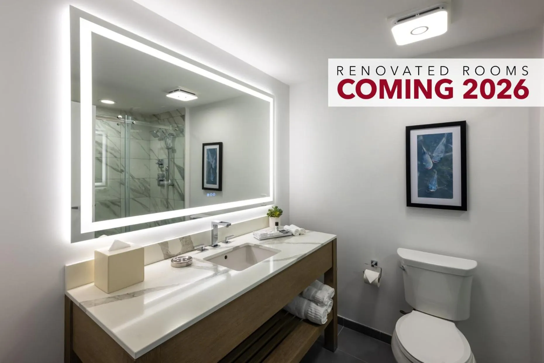 Miccosukee Casino & Resort