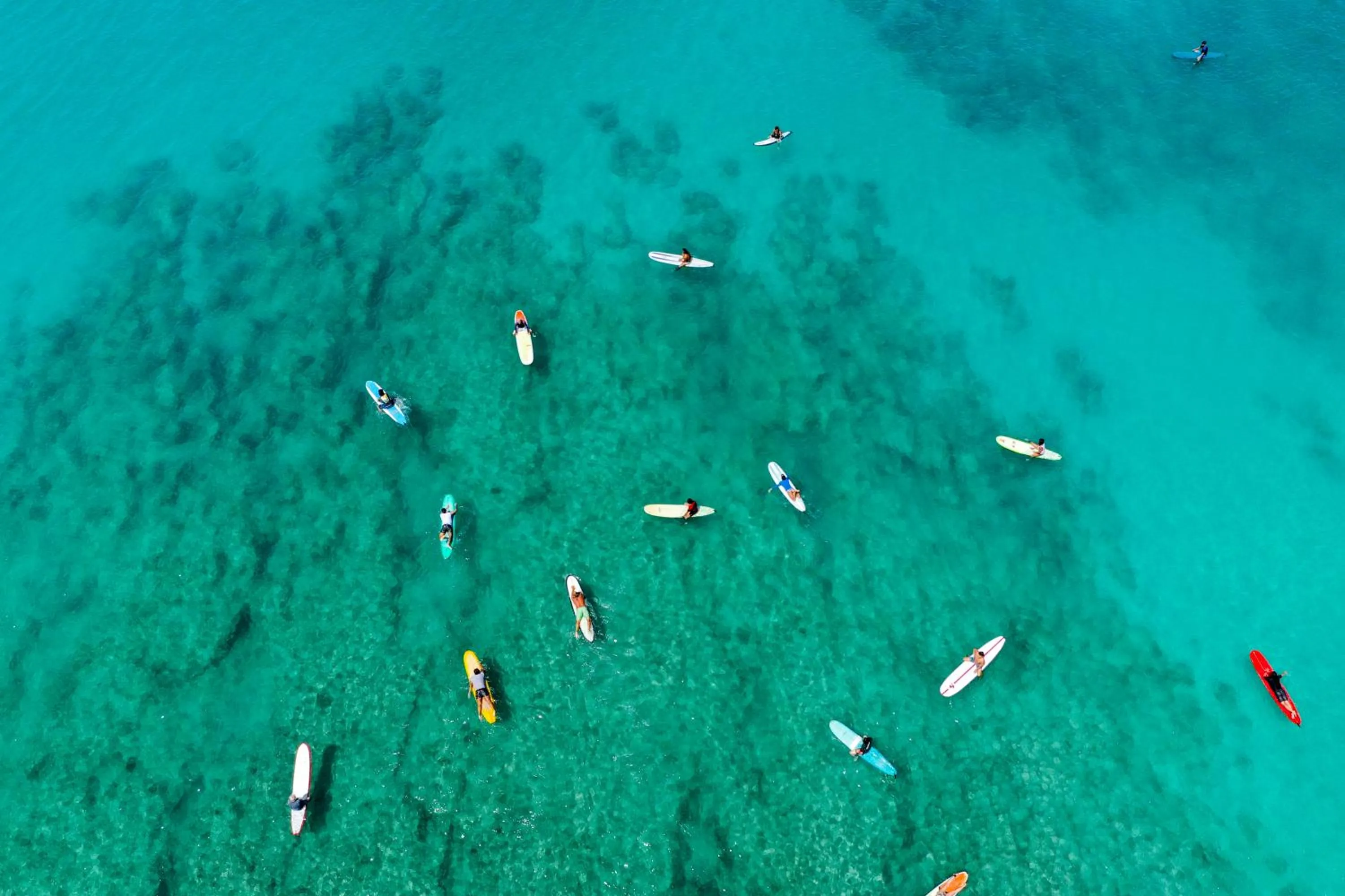 Bird's eye view in Lotus Honolulu at Diamond Head