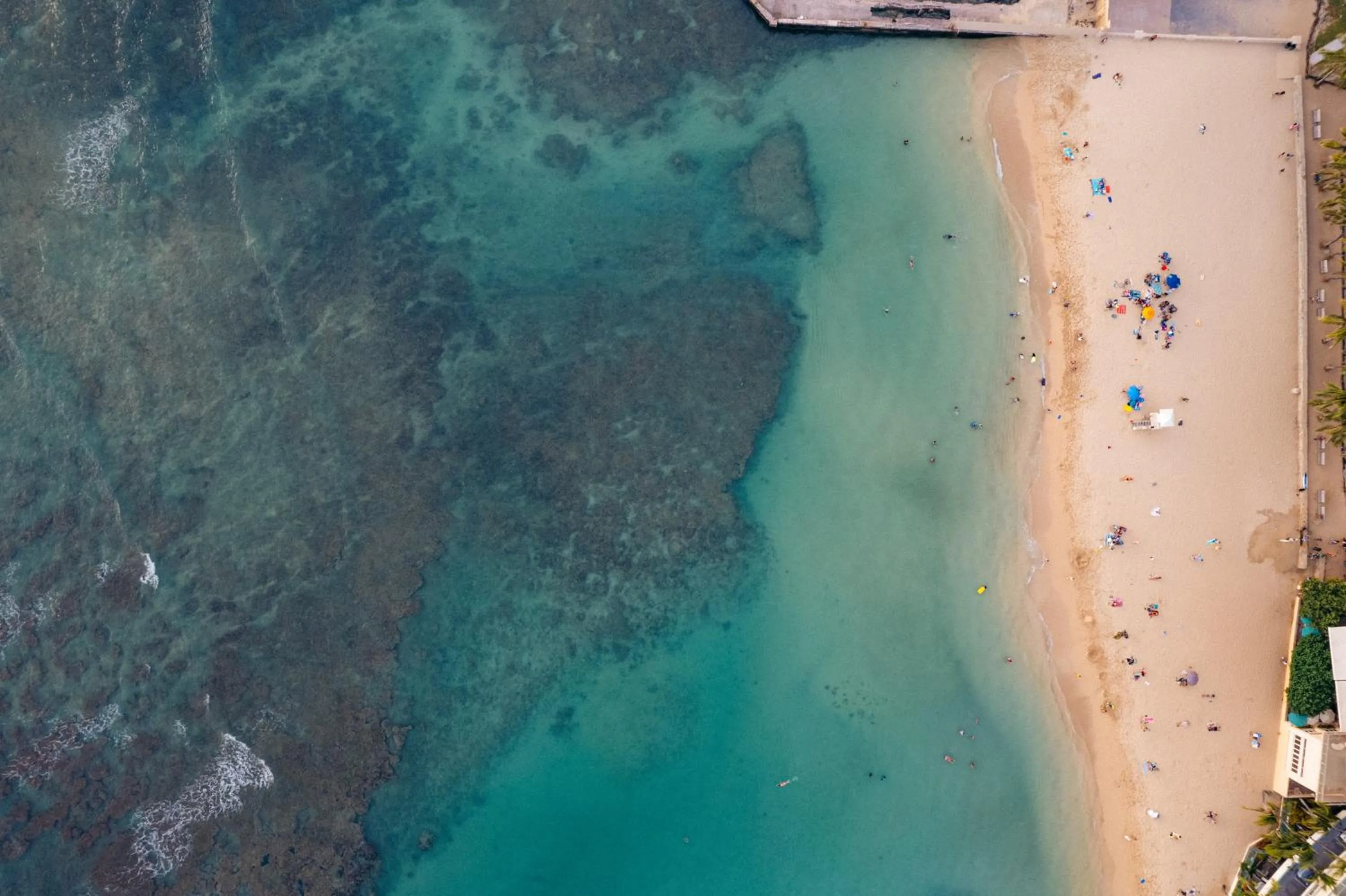 Natural landscape in Lotus Honolulu at Diamond Head