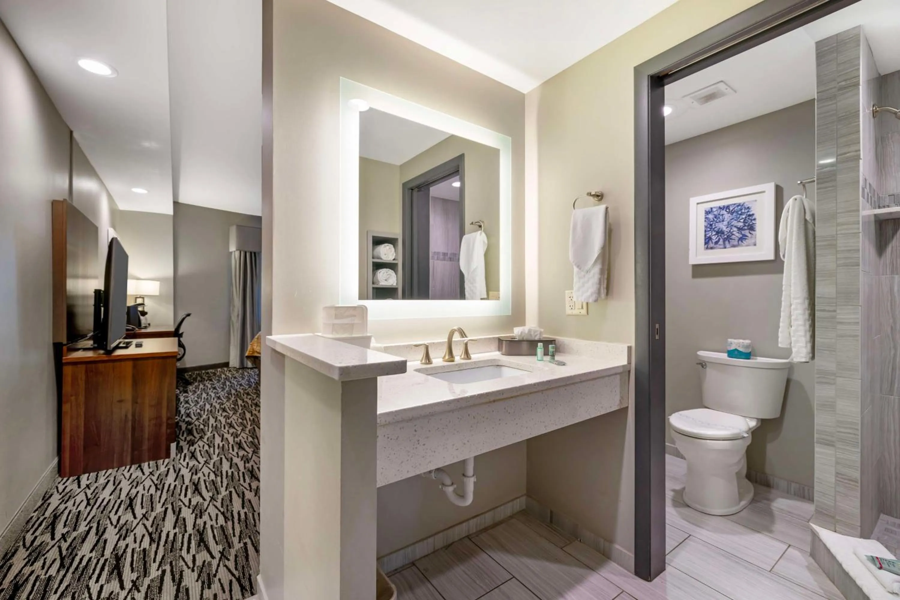 Bathroom in Best Western On The Avenue