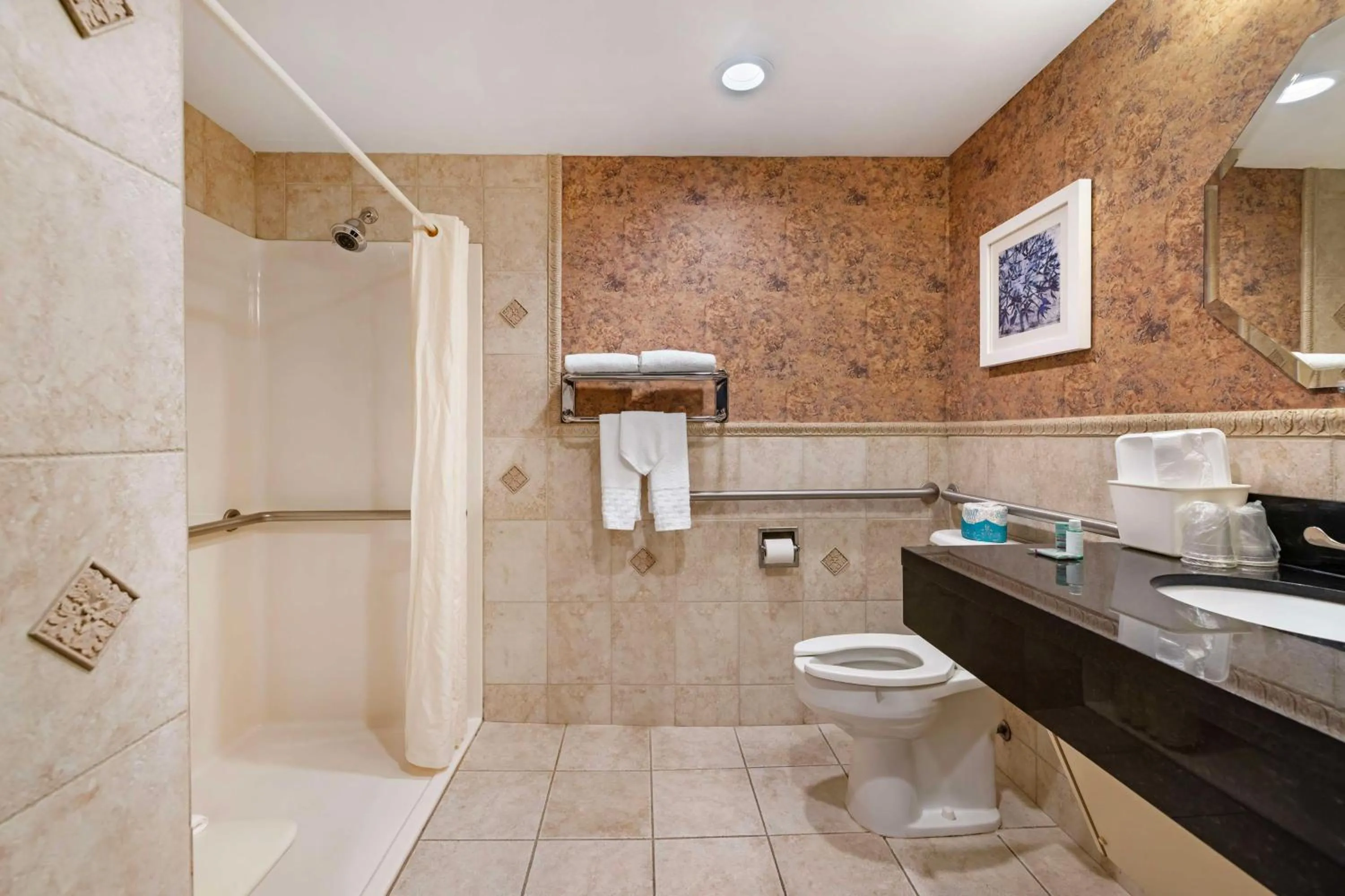 Bathroom in Best Western On The Avenue