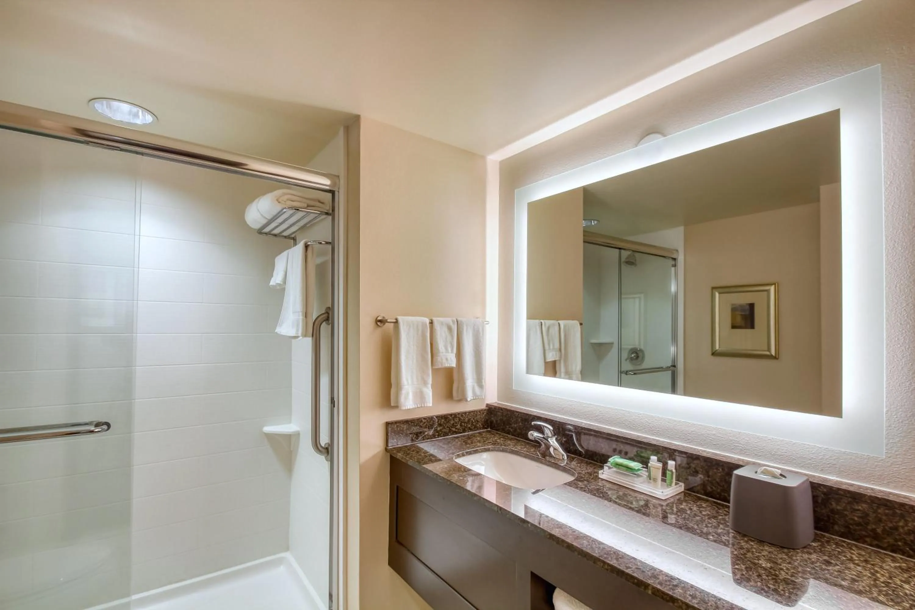 Bathroom in Holiday Inn & Suites Atlanta Airport North by IHG