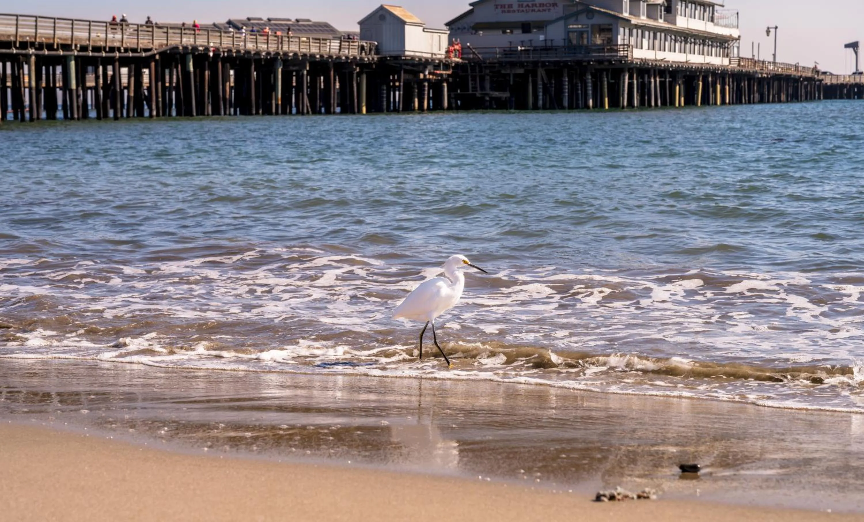 Beach in The Eagle Inn