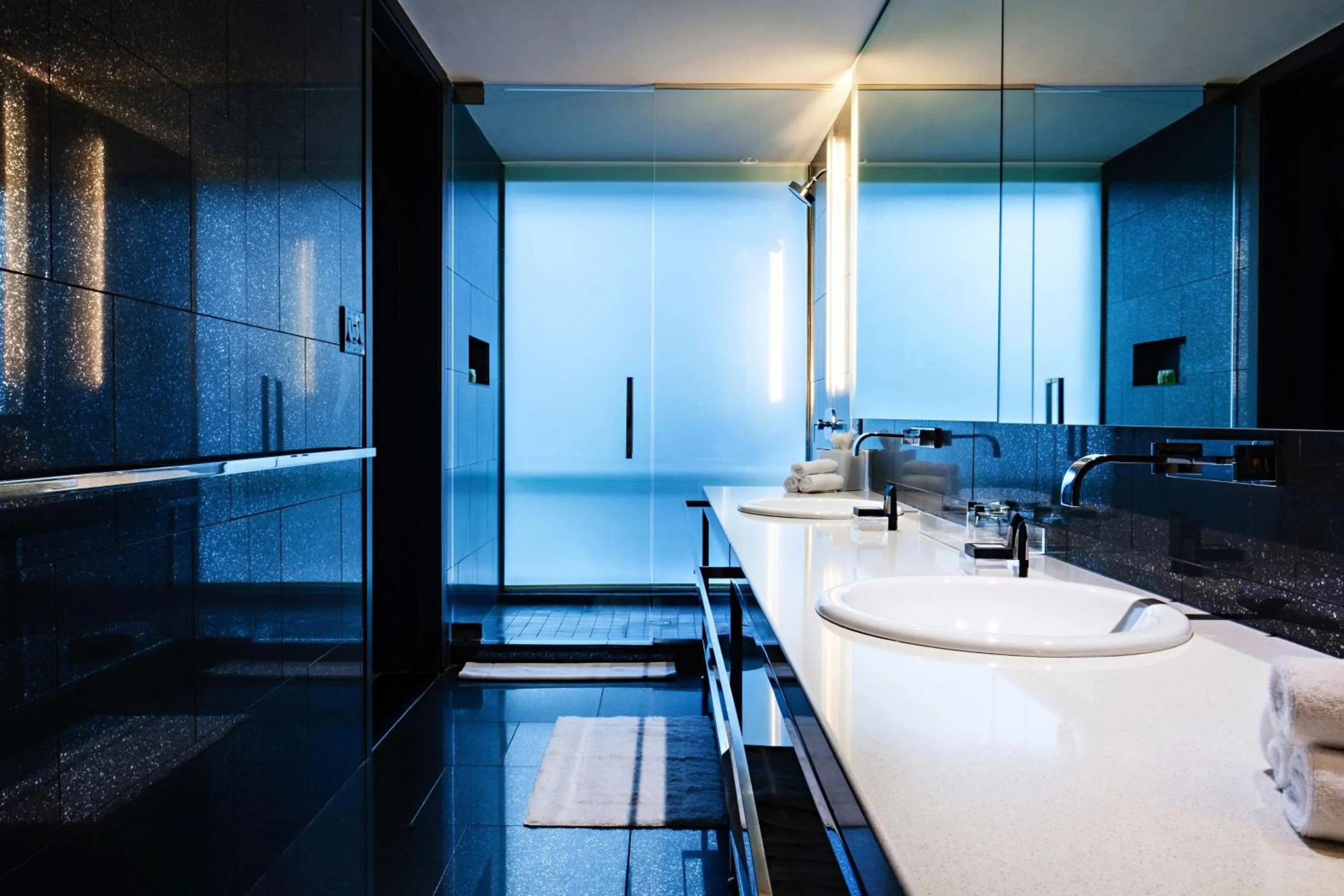 Bathroom in W Atlanta Downtown