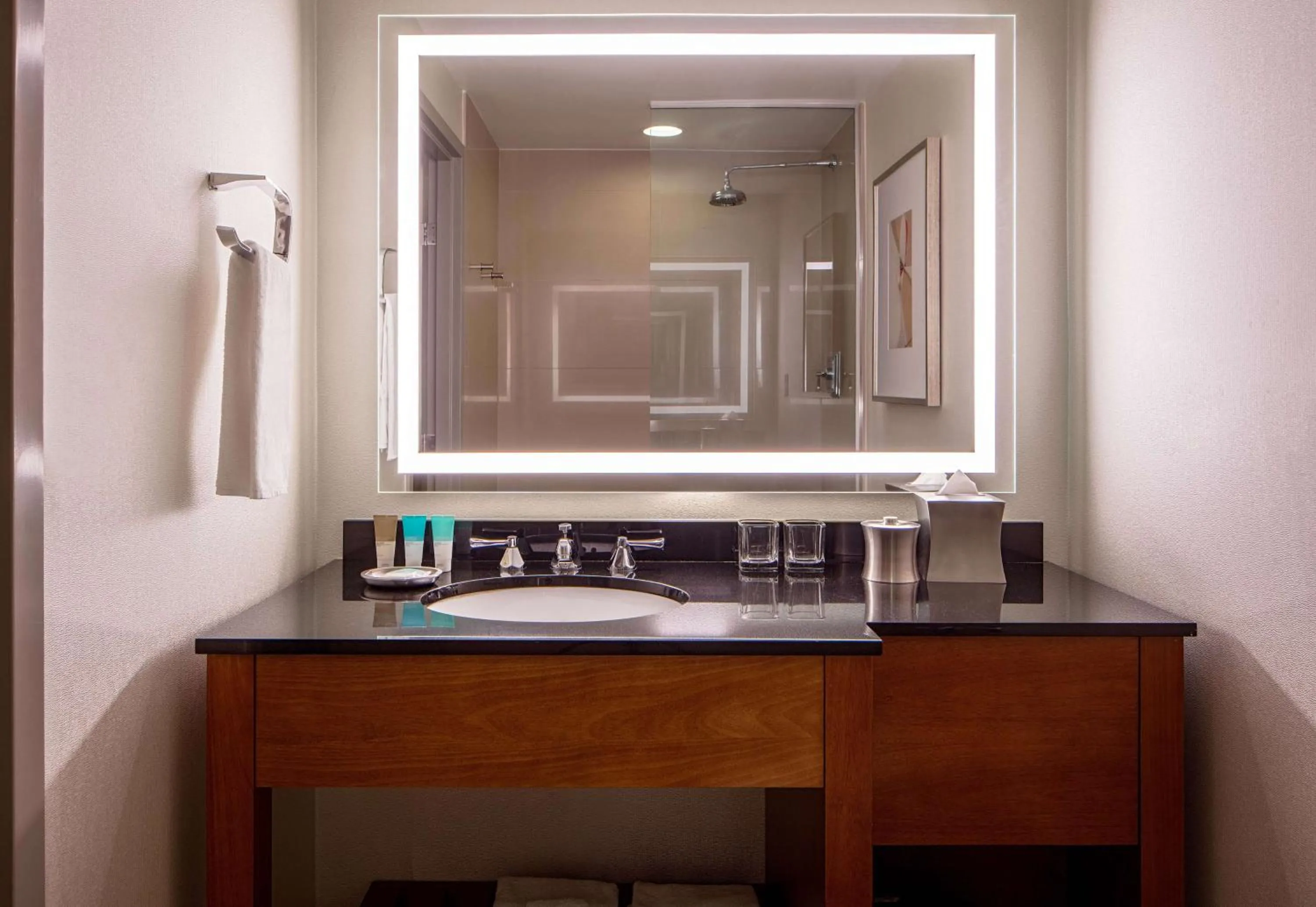 Bathroom in Hyatt Regency Crystal City at Reagan National Airport