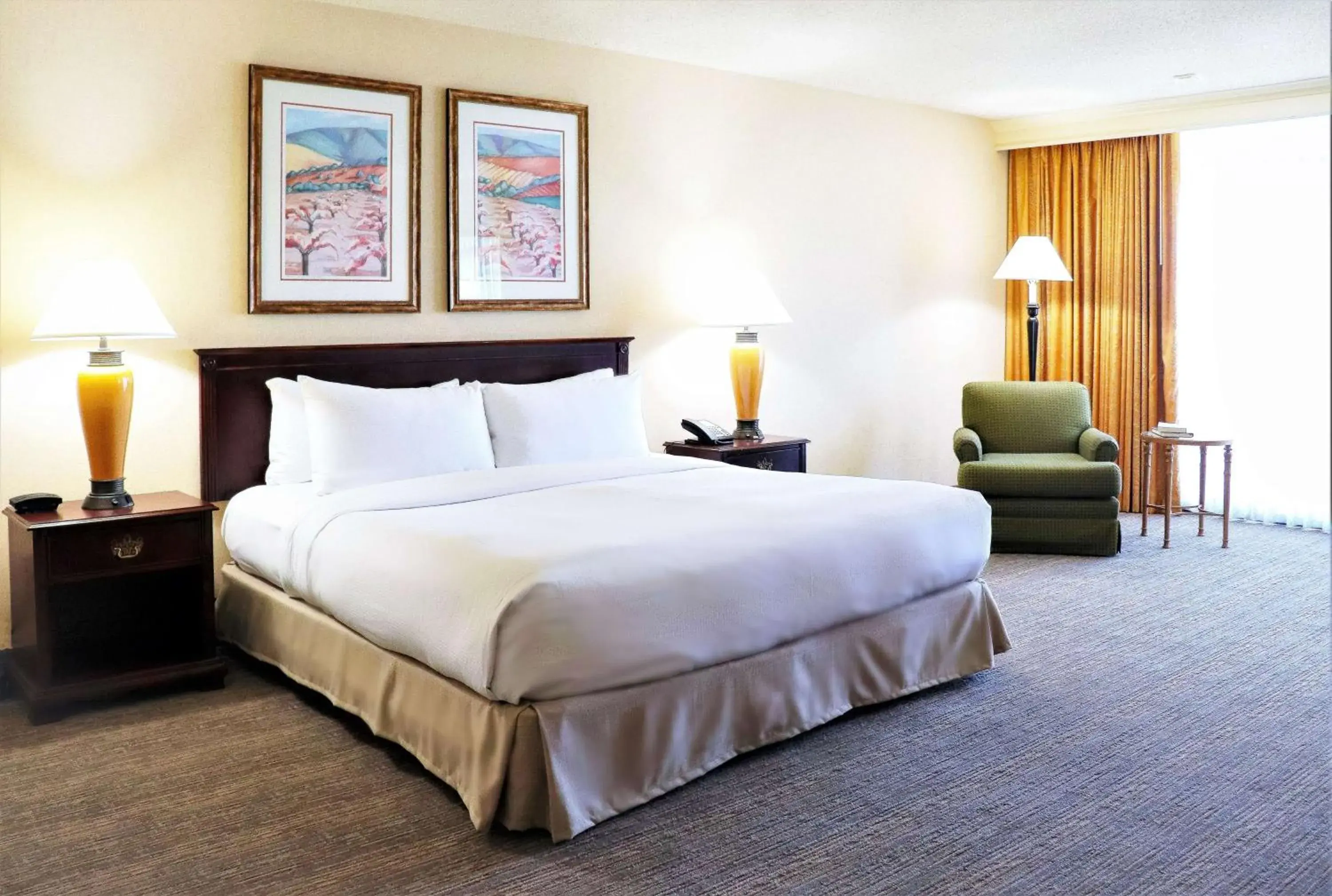 King Suite with Balcony in DoubleTree by Hilton San Jose King Suite with Balcony in DoubleTree by Hilton San Jose