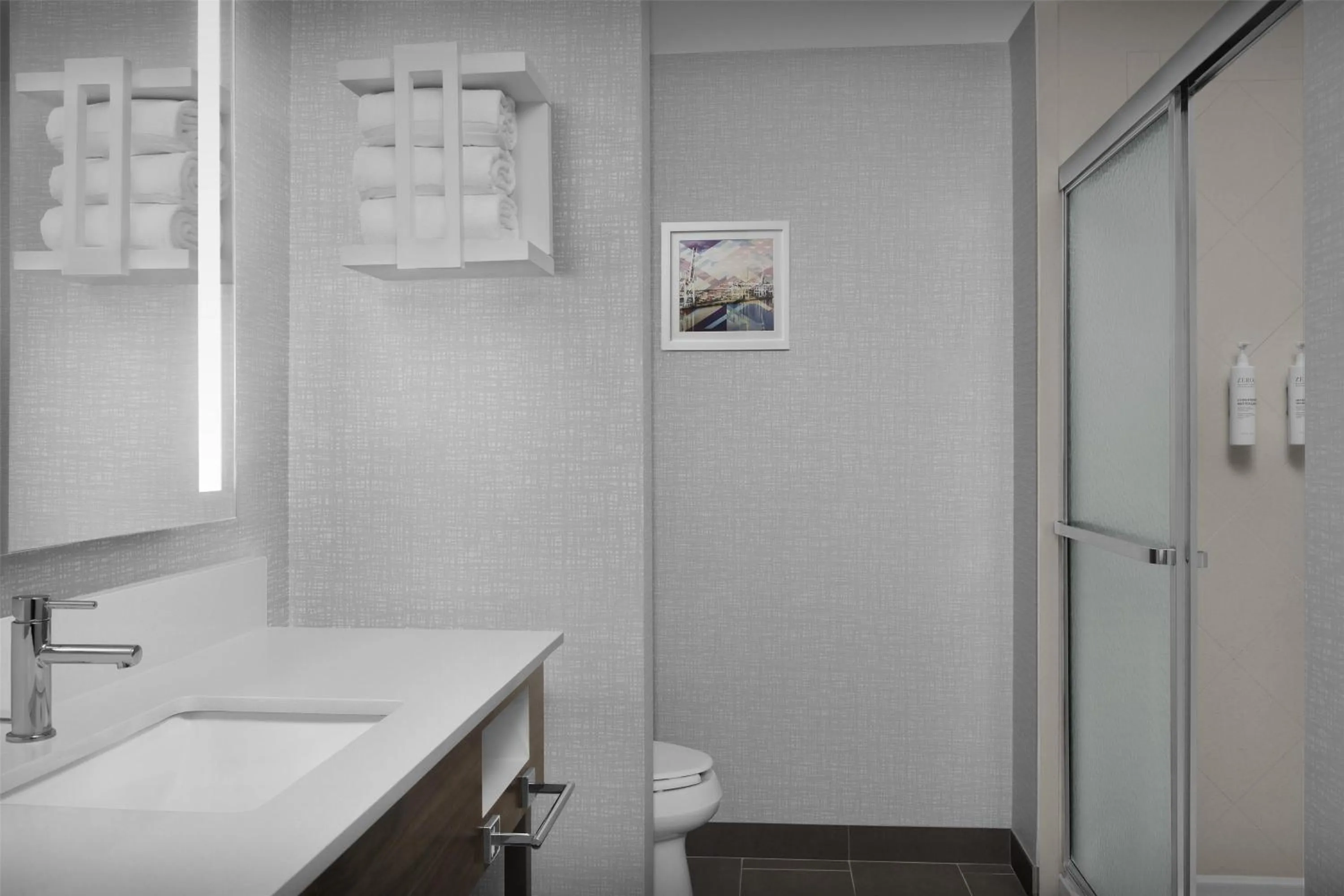 Toilet in Hampton Inn & Suites Jacksonville South - Bartram Park