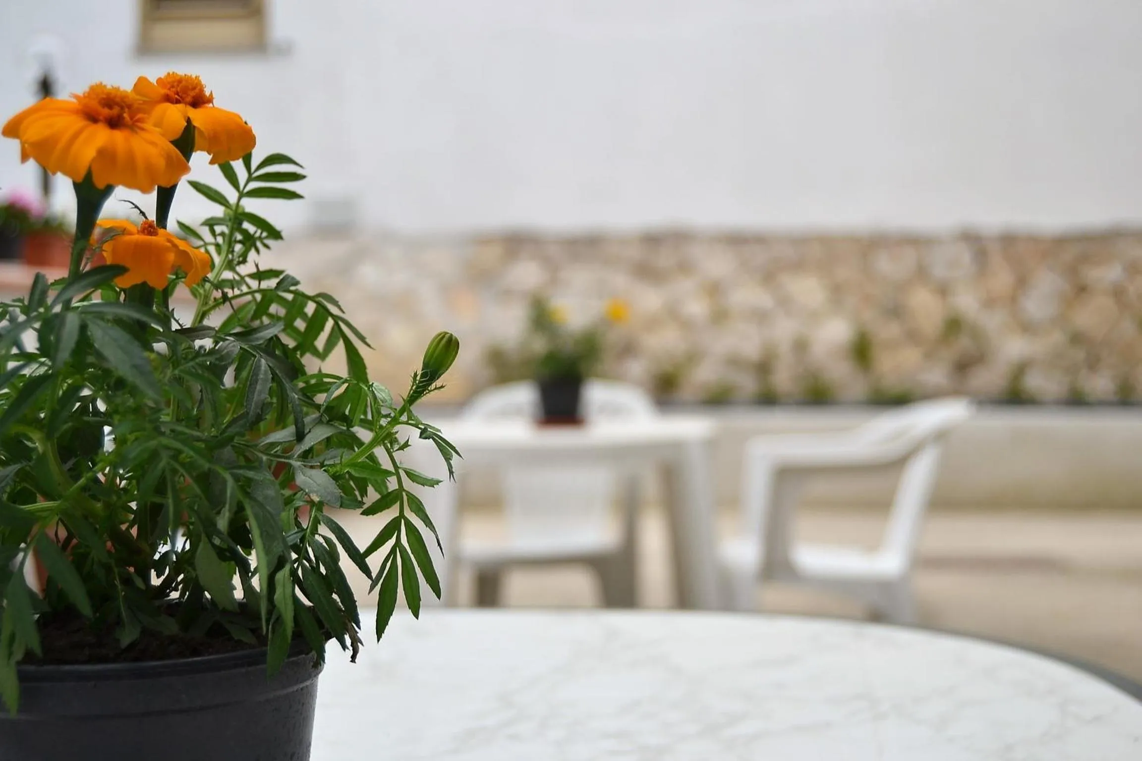 Patio in Il Girasole Formia Guesthouse rooms