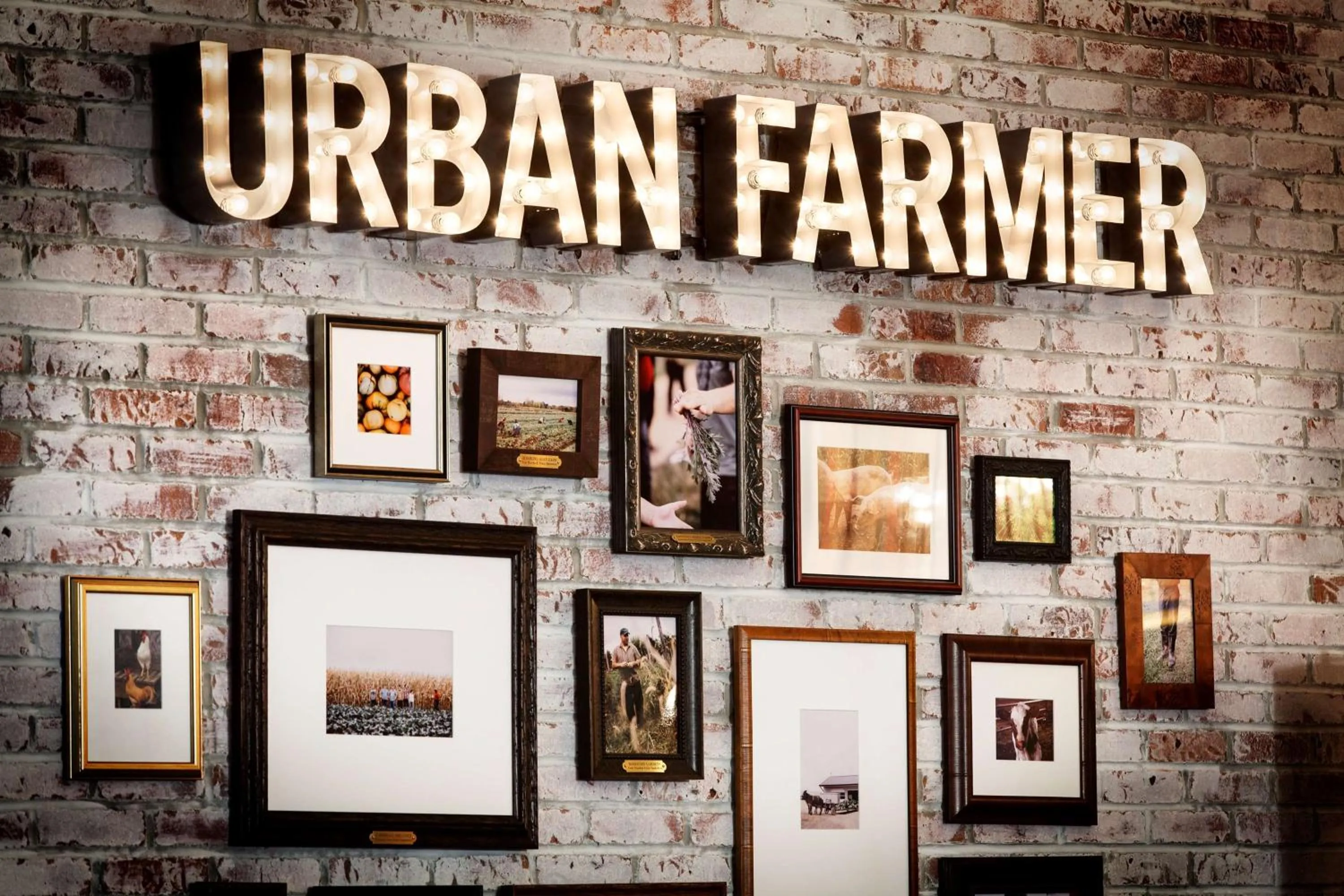 Restaurant/places to eat in The Logan Philadelphia, Curio Collection by Hilton